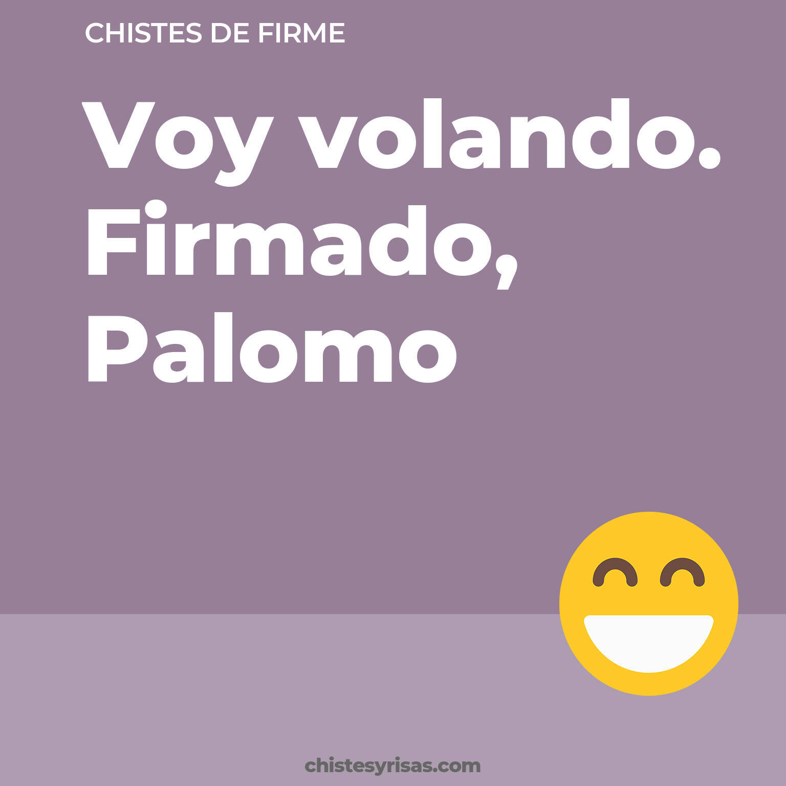 chistes de Firme cortos