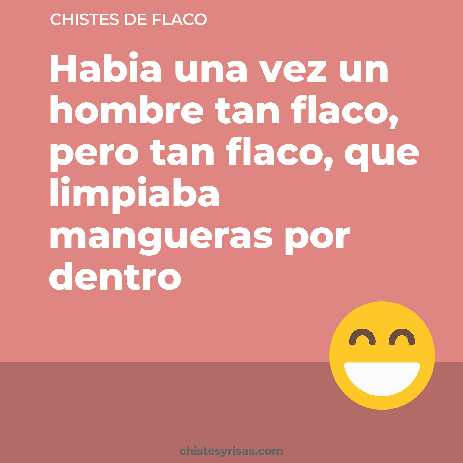 chistes de Flaco buenos foto para reir