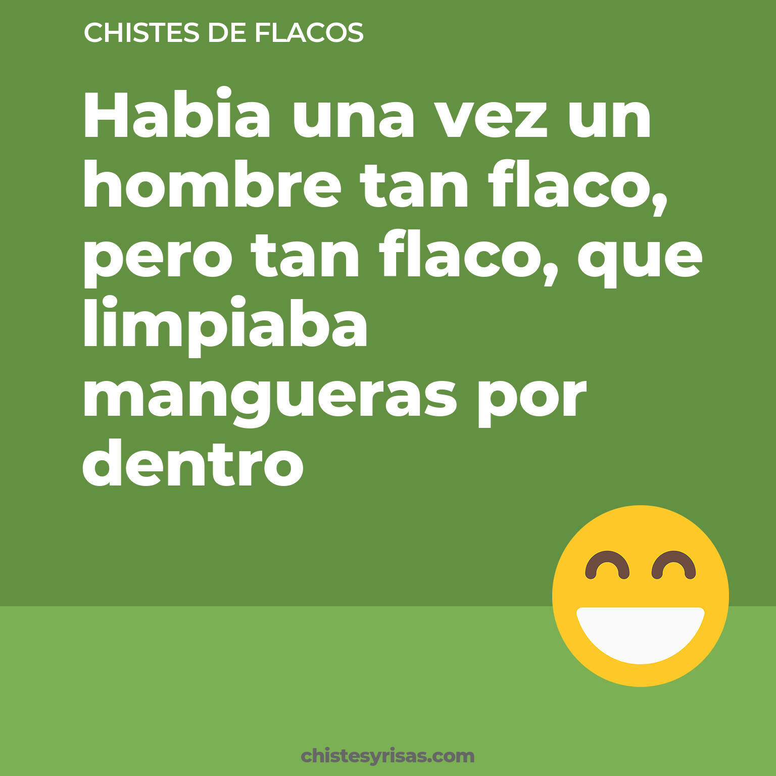 chistes de Flacos buenos