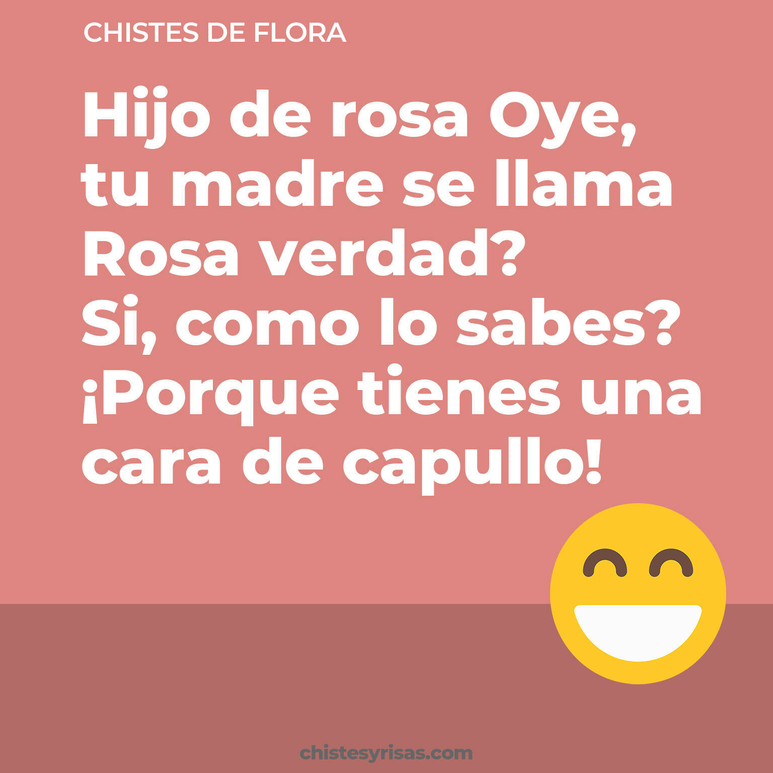 chistes de Flora buenos