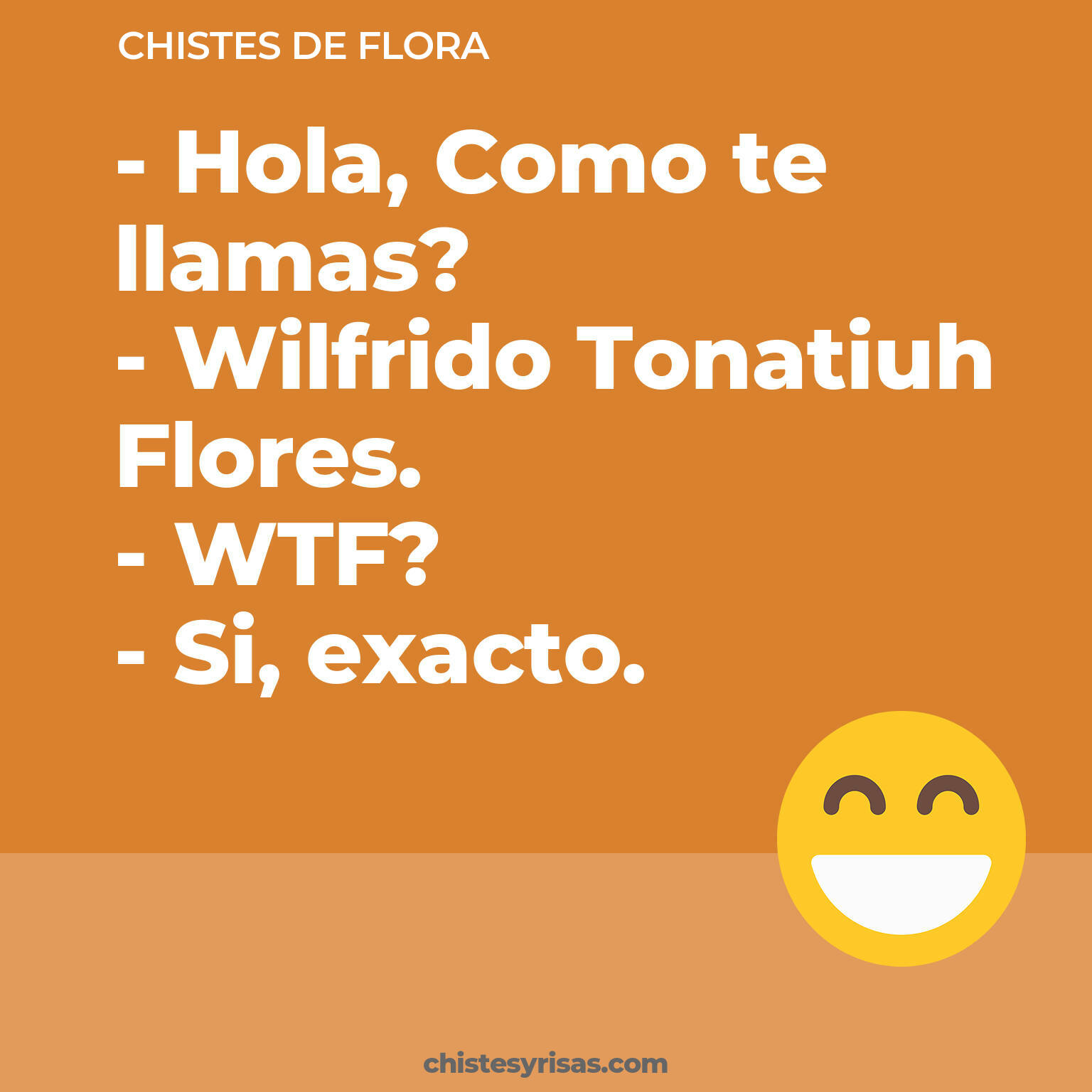 chistes de Flora cortos