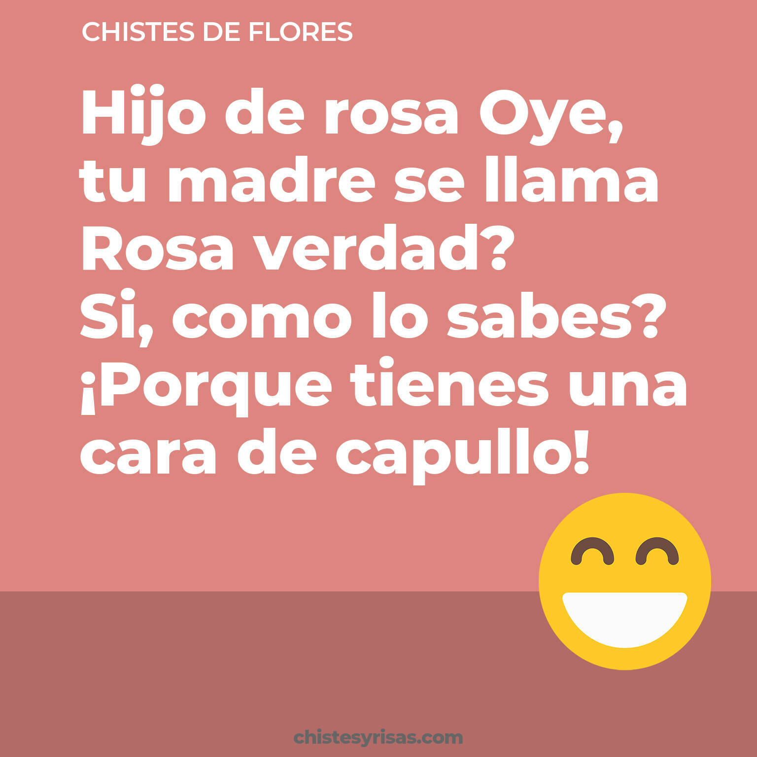 chistes de Flores buenos