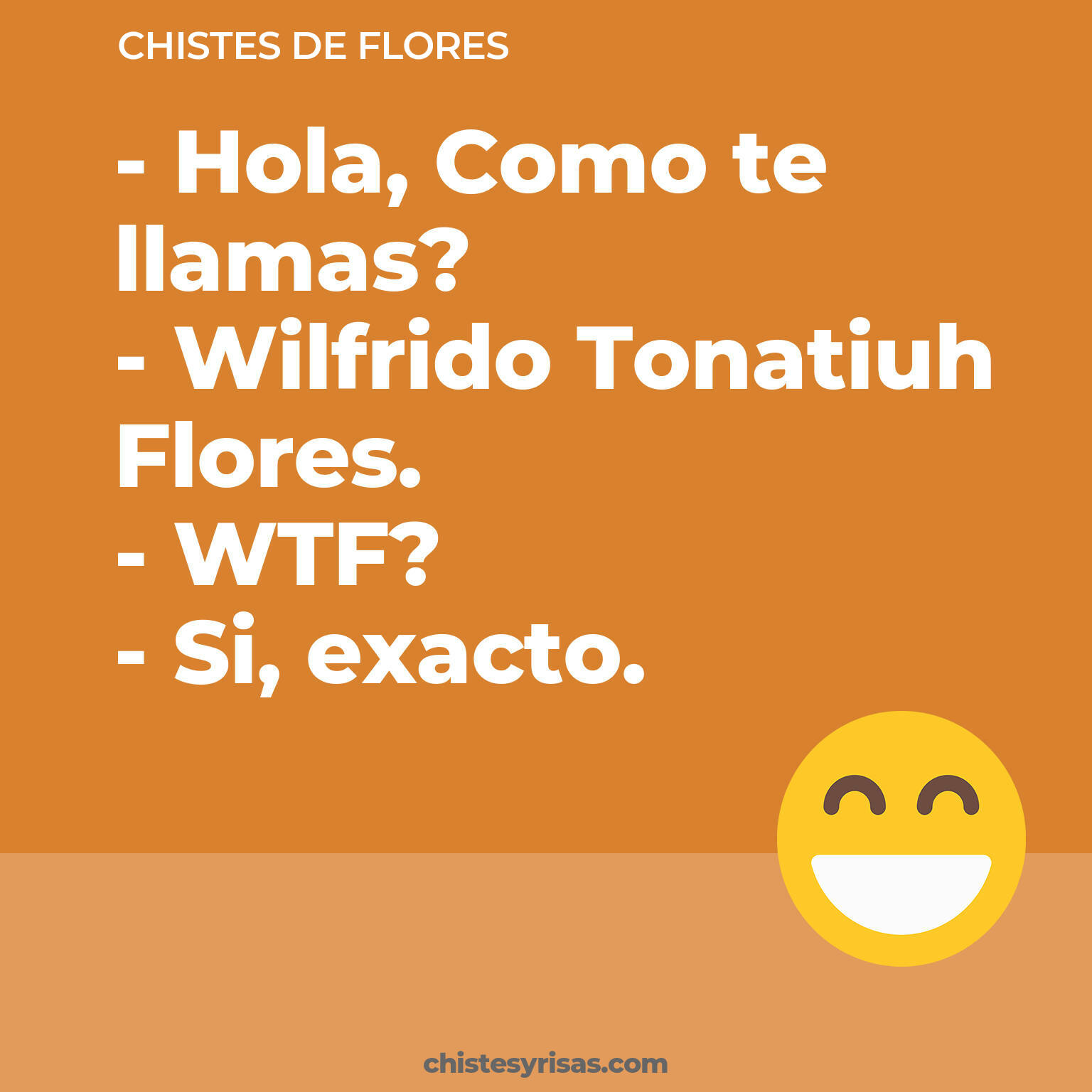 chistes de Flores cortos