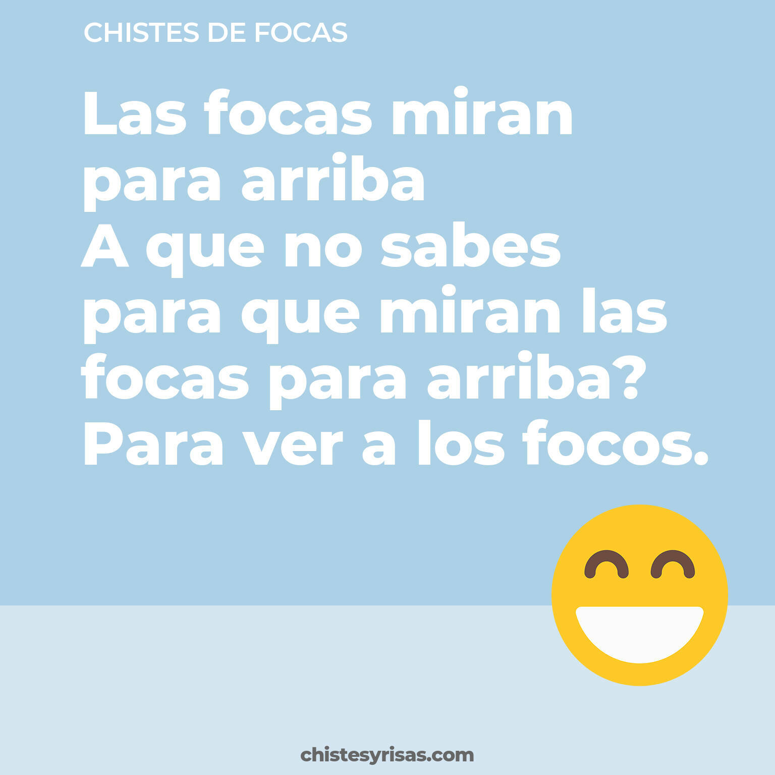 chistes de Focas buenos