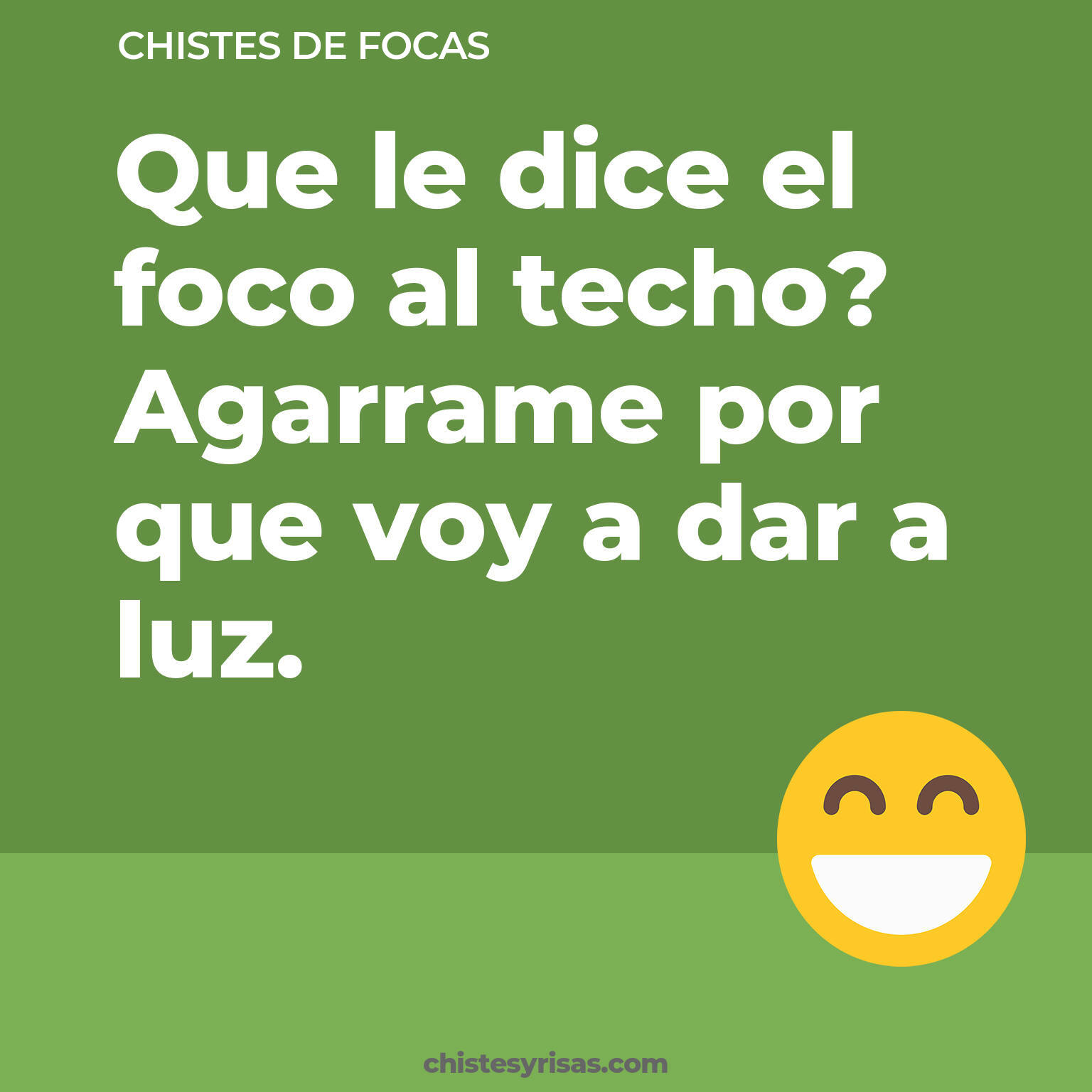 chistes de Focas cortos