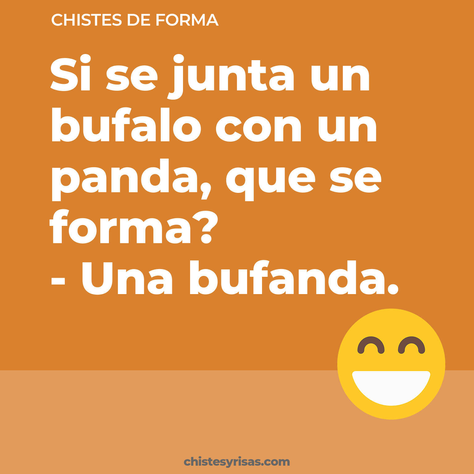 chistes de Forma cortos