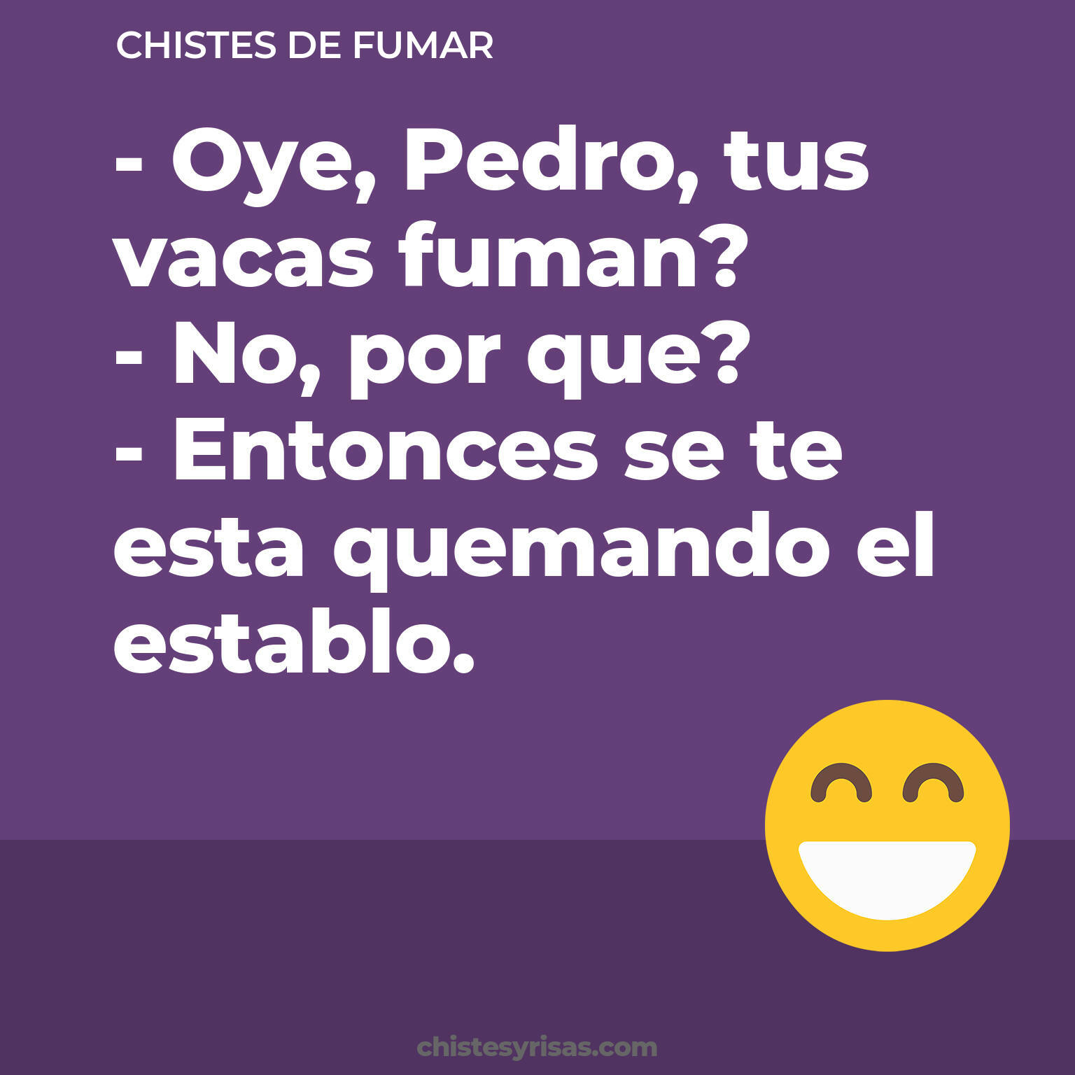 chistes de Fumar cortos