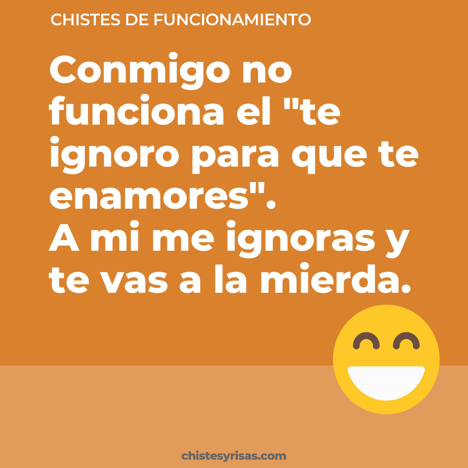 chistes de Funcionamiento más graciosos