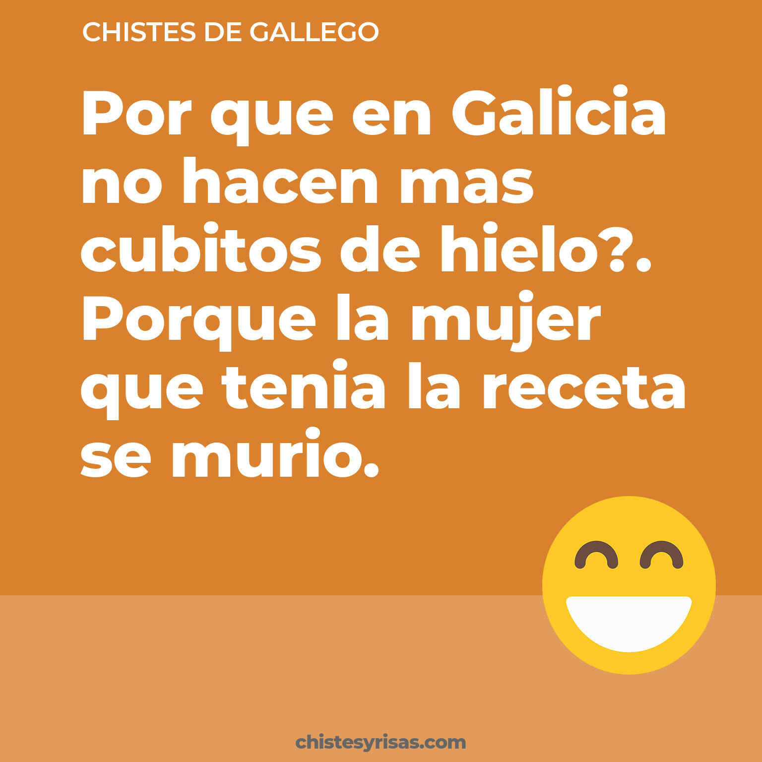 chistes de Gallego cortos