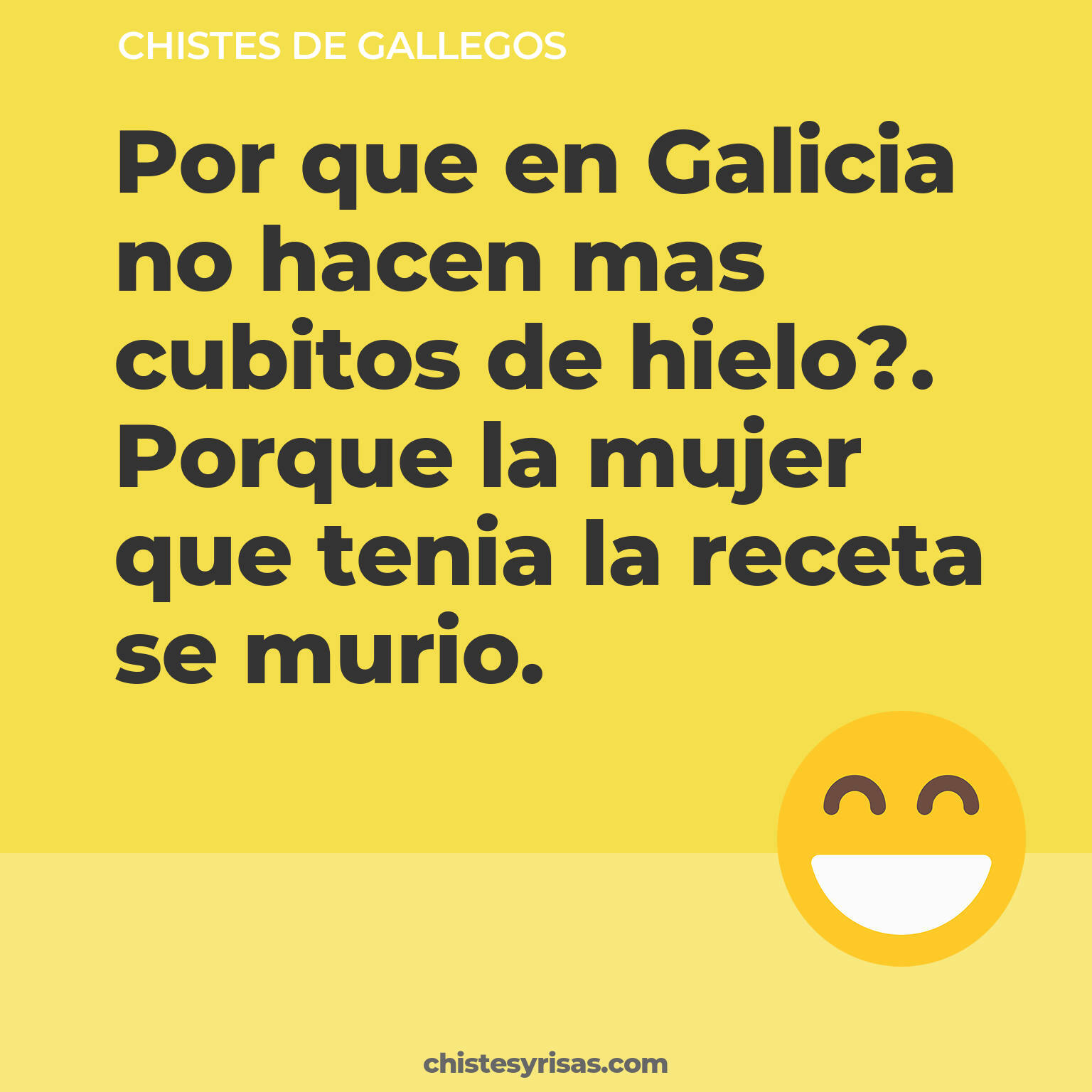 chistes de Gallegos cortos