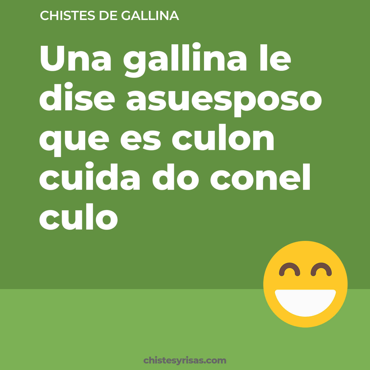 chistes de Gallina más graciosos