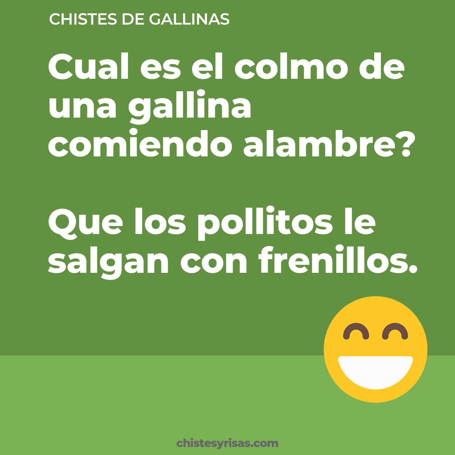 chistes de Gallinas buenos