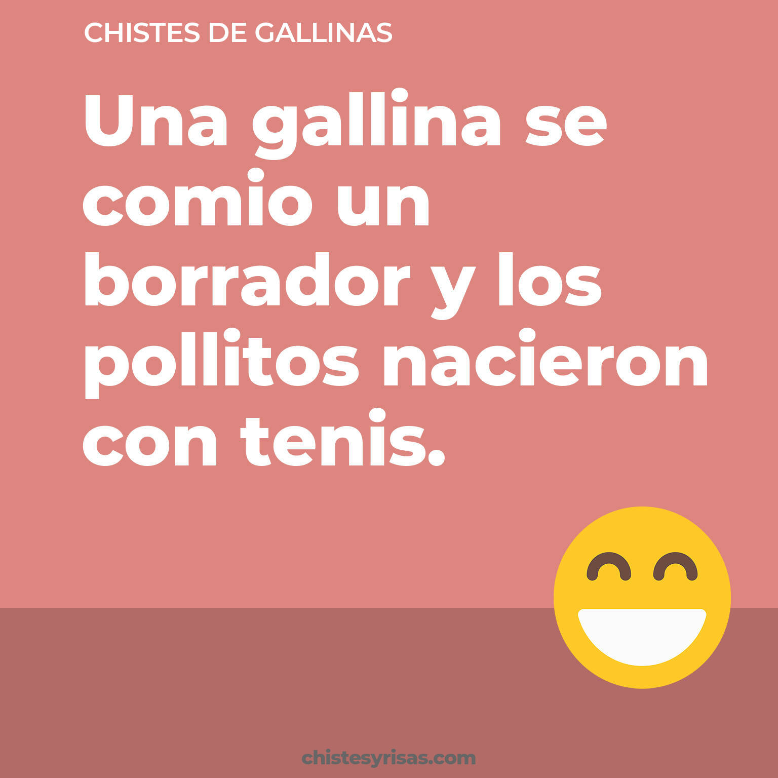 chistes de Gallinas cortos