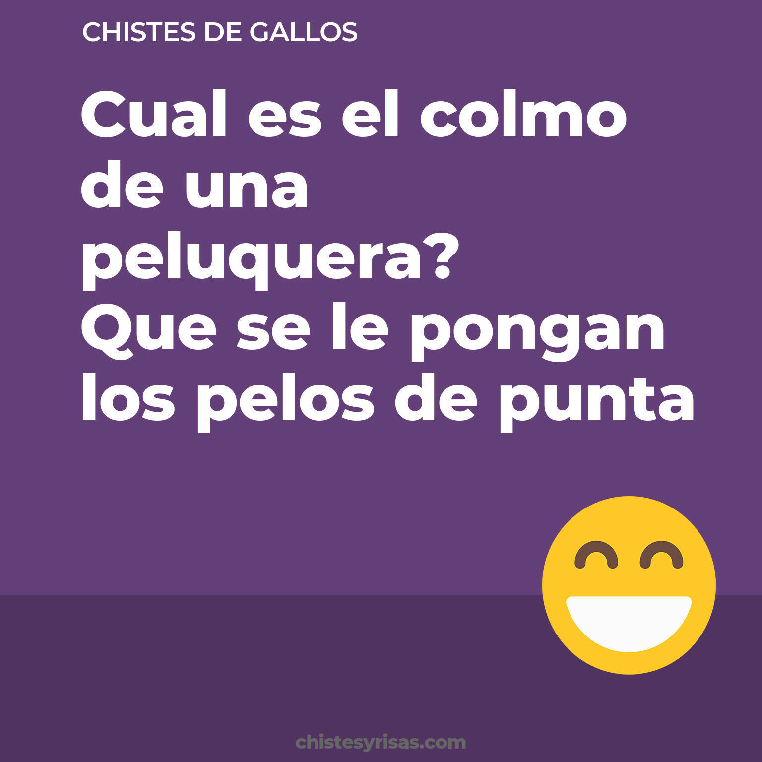 chistes de Gallos más graciosos