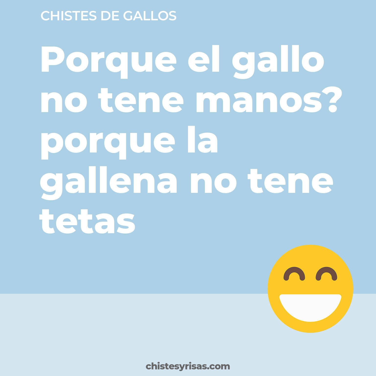 chistes de Gallos cortos