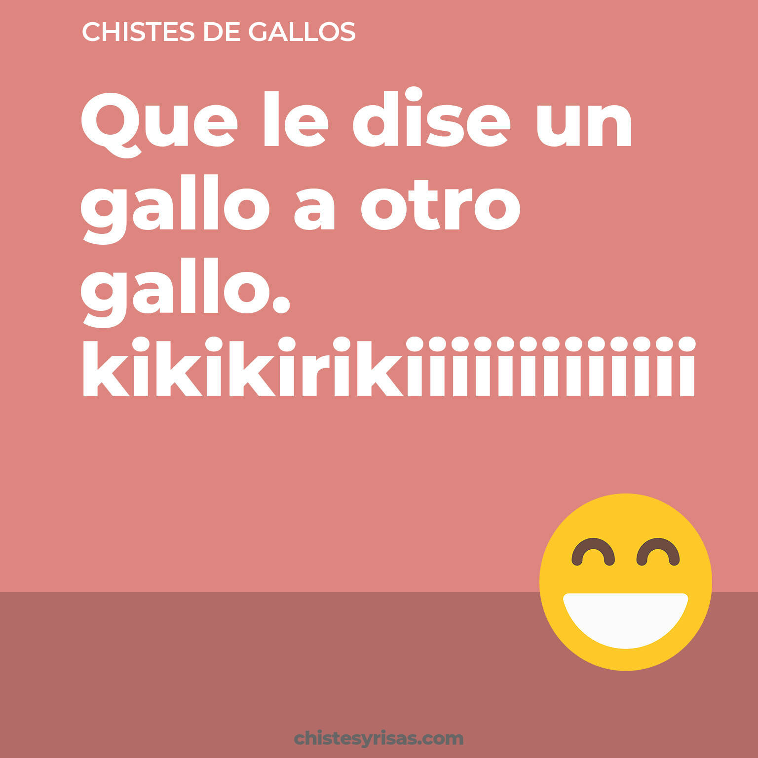 chistes de Gallos buenos