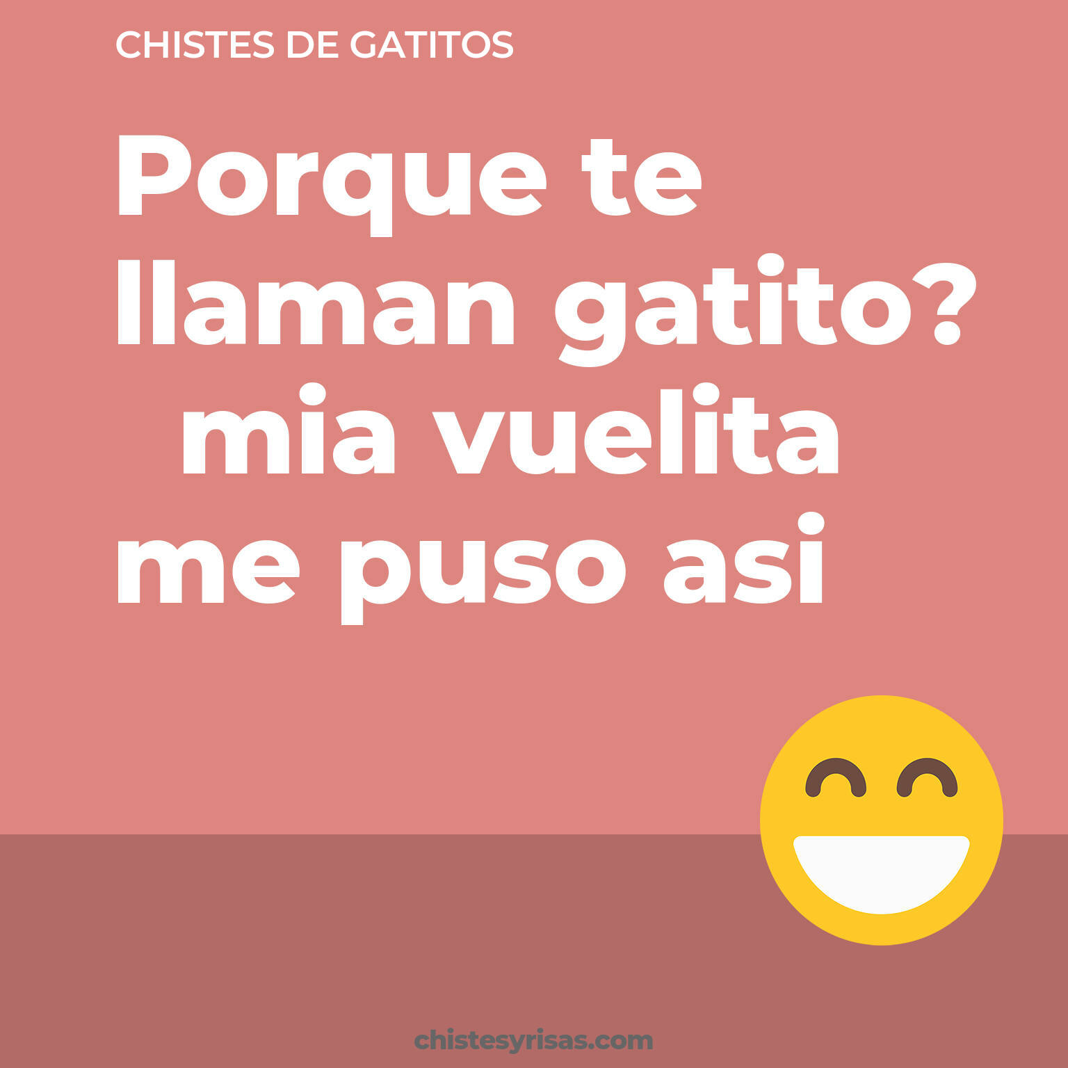 chistes de Gatitos buenos