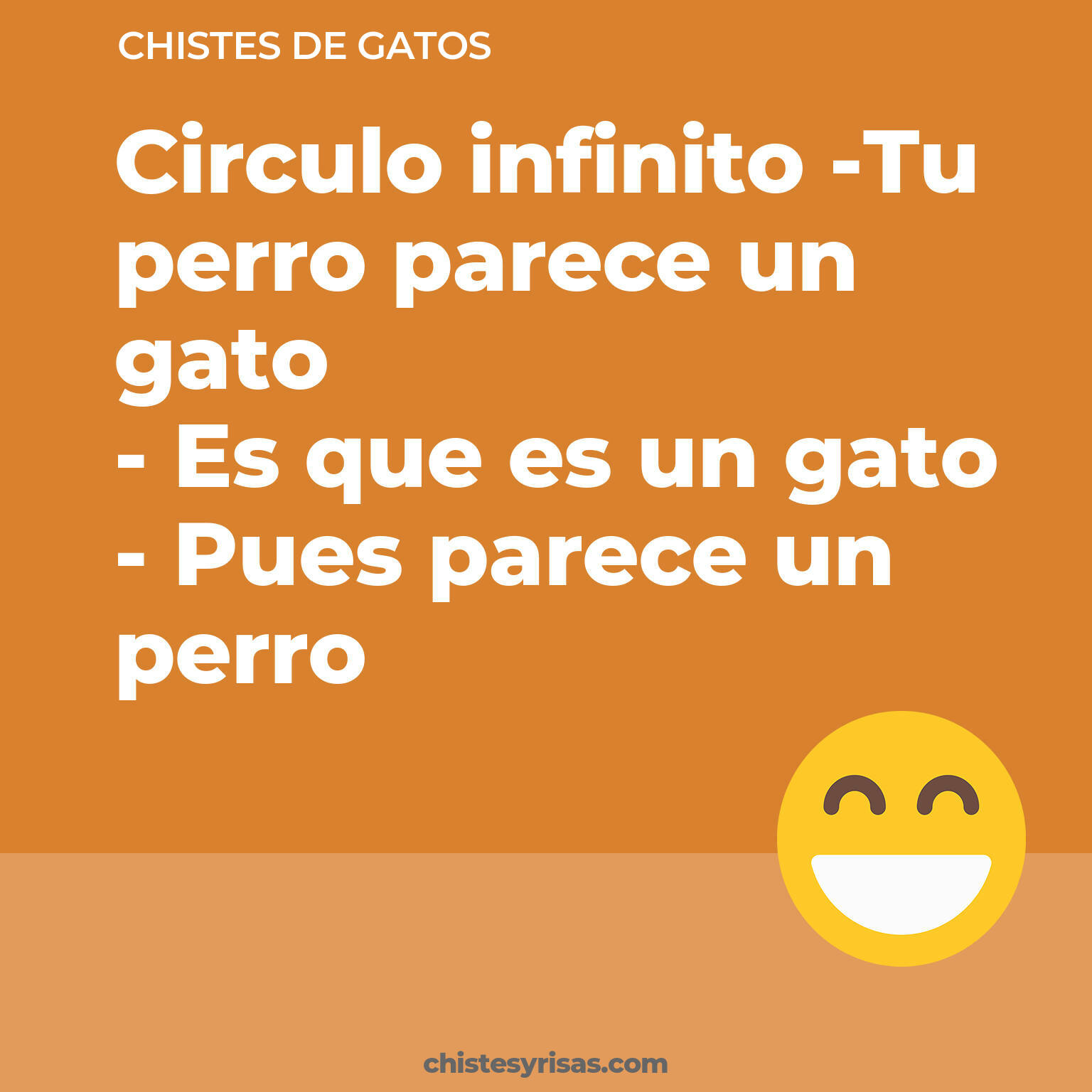 chistes de Gatos cortos