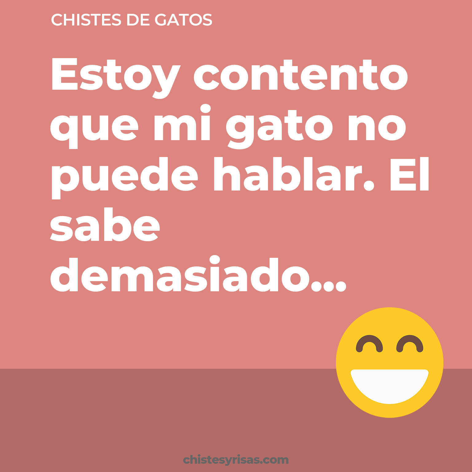 chistes de Gatos buenos