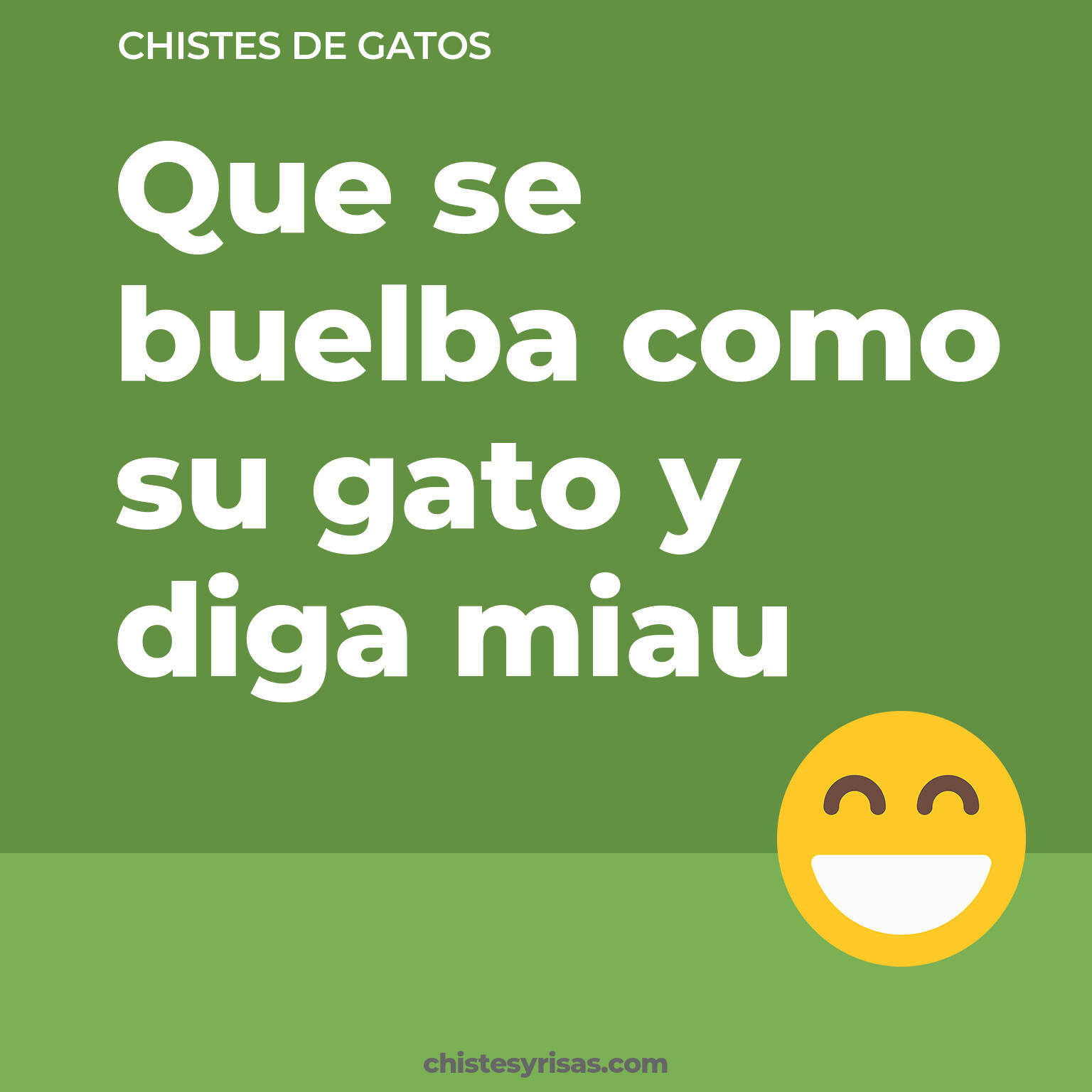 chistes de Gatos más graciosos