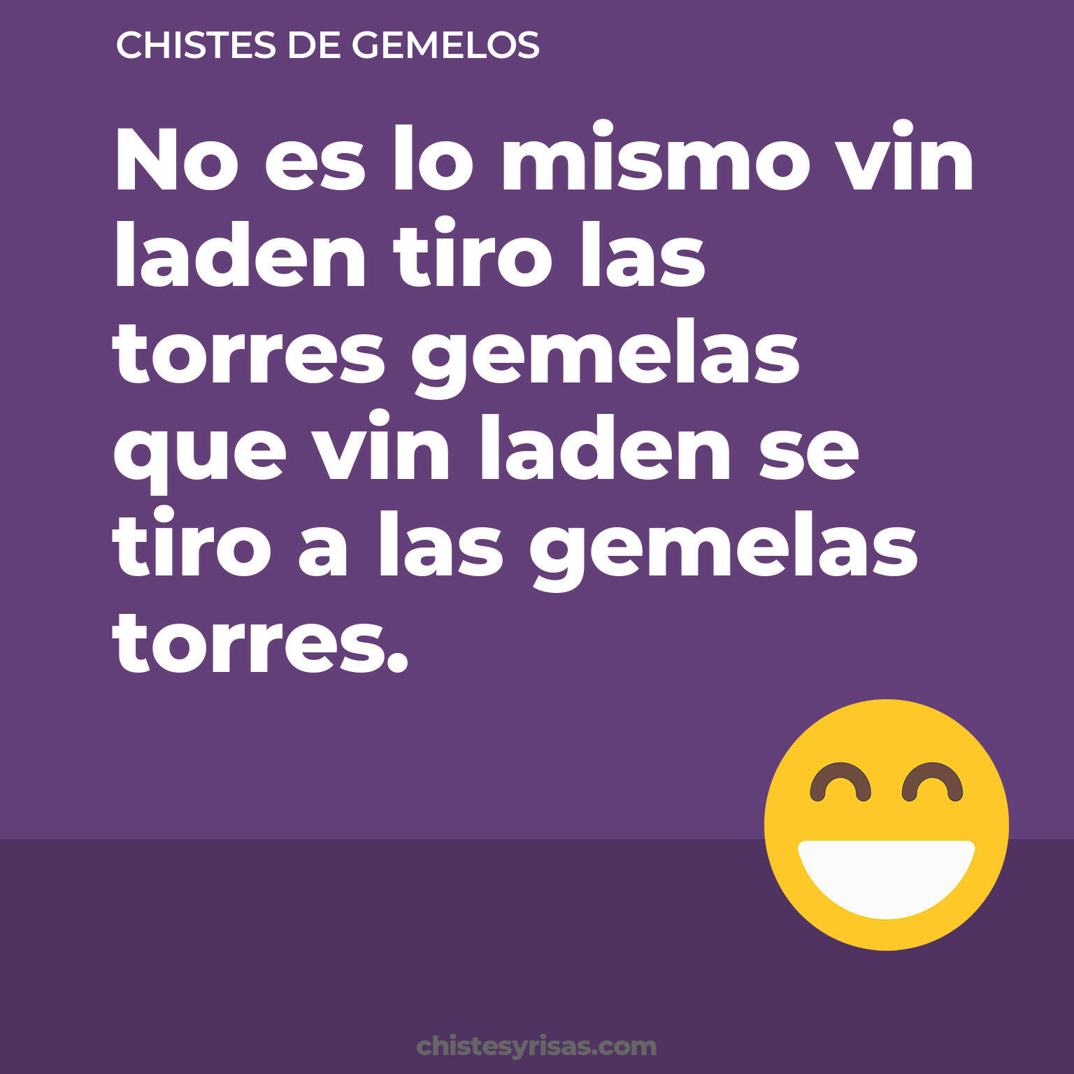 chistes de Gemelos cortos