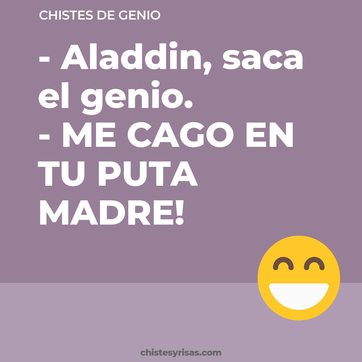 chistes de Genio cortos