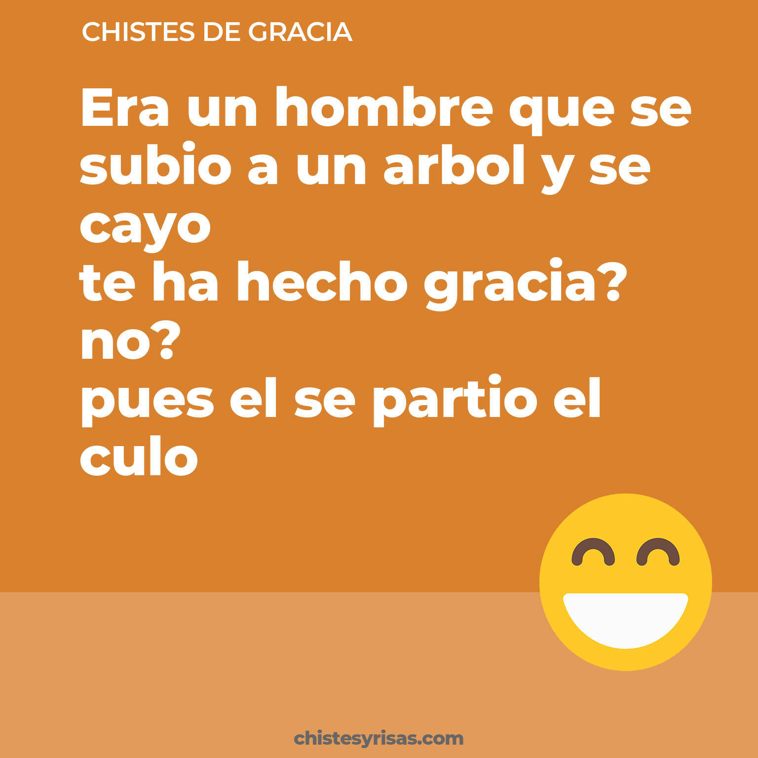 chistes de Gracia más graciosos