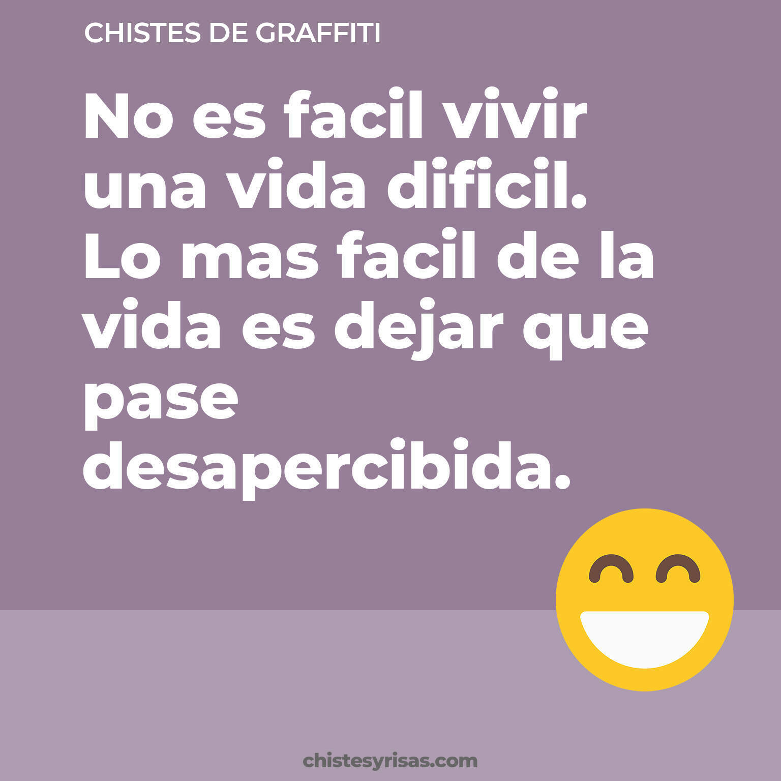 chistes de Graffiti cortos