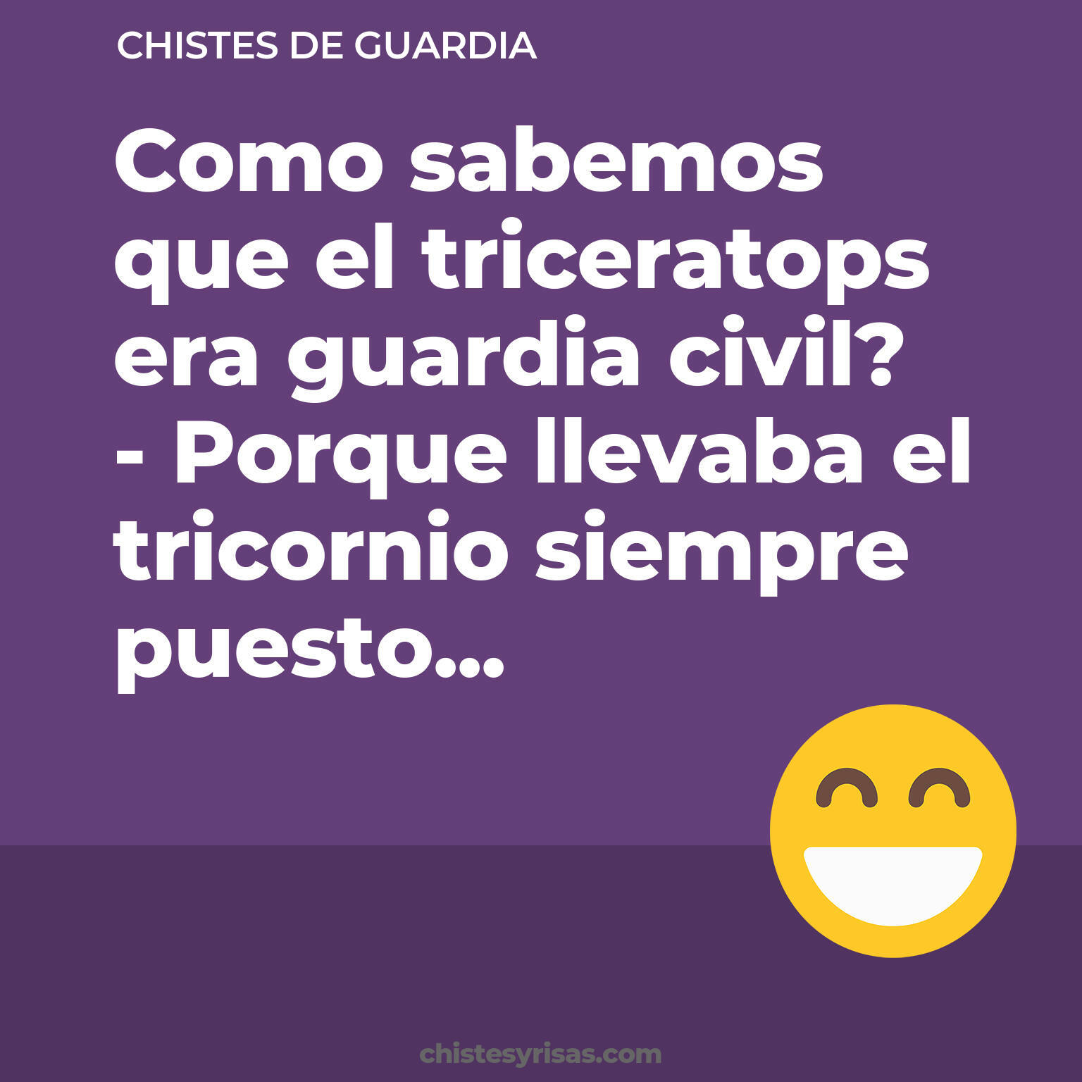 chistes de Guardia buenos