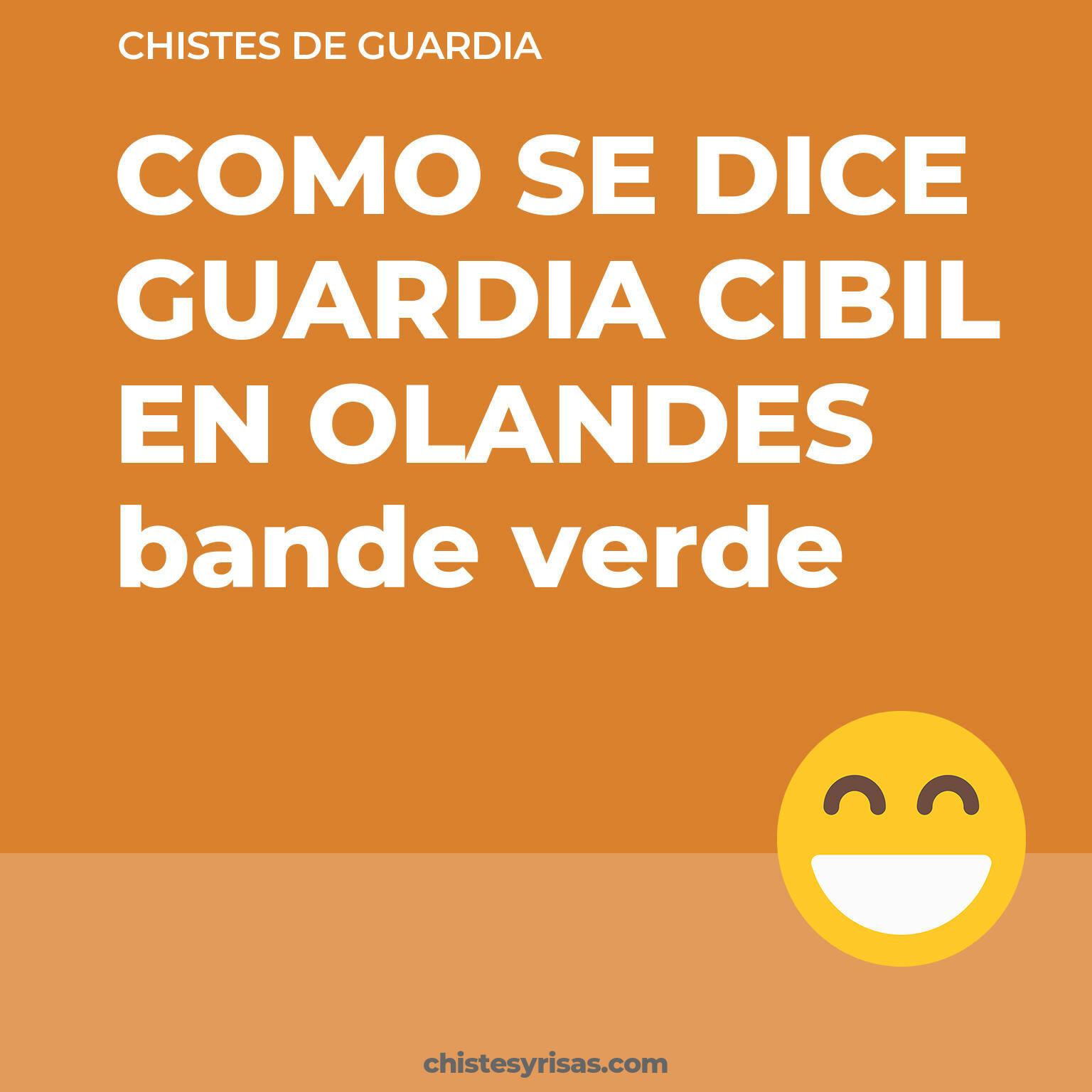 chistes de Guardia más graciosos