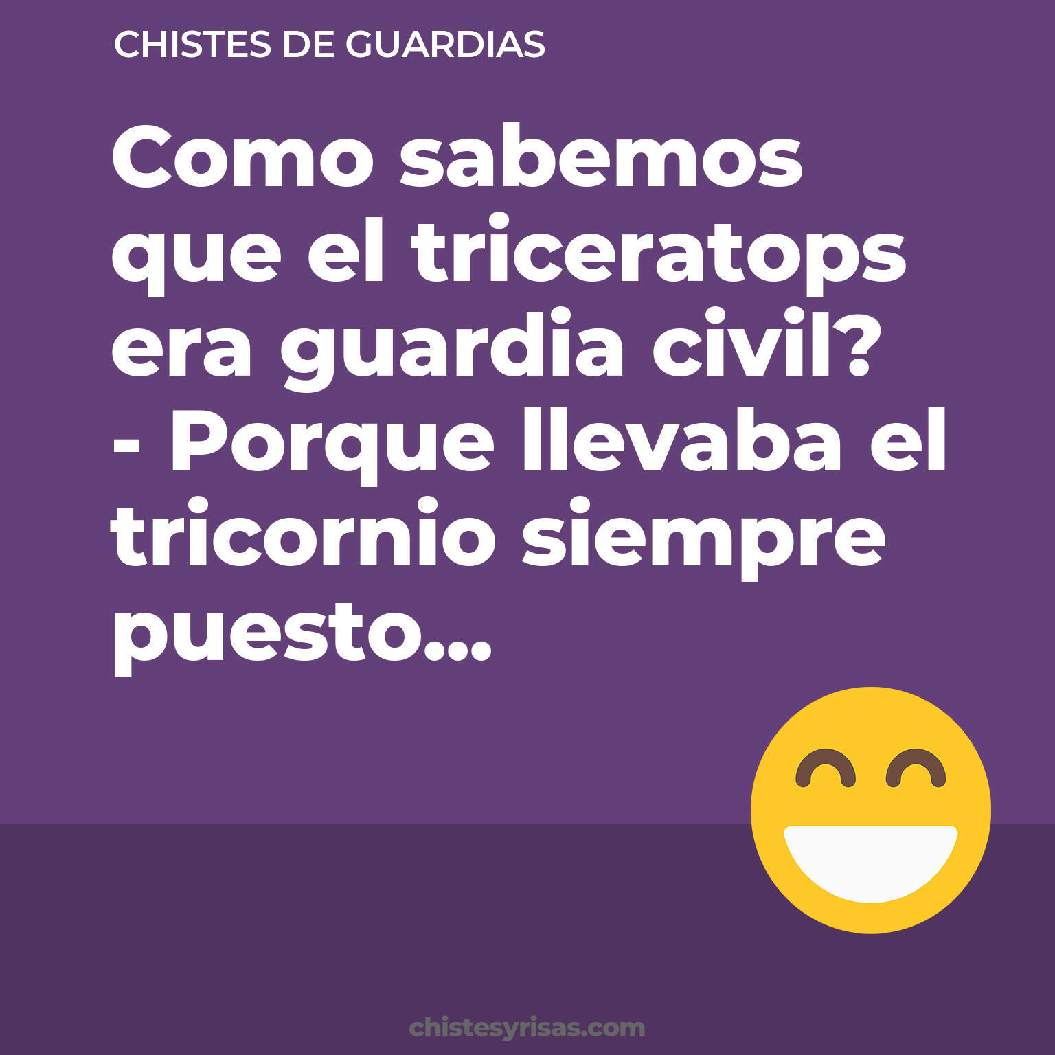 chistes de Guardias buenos