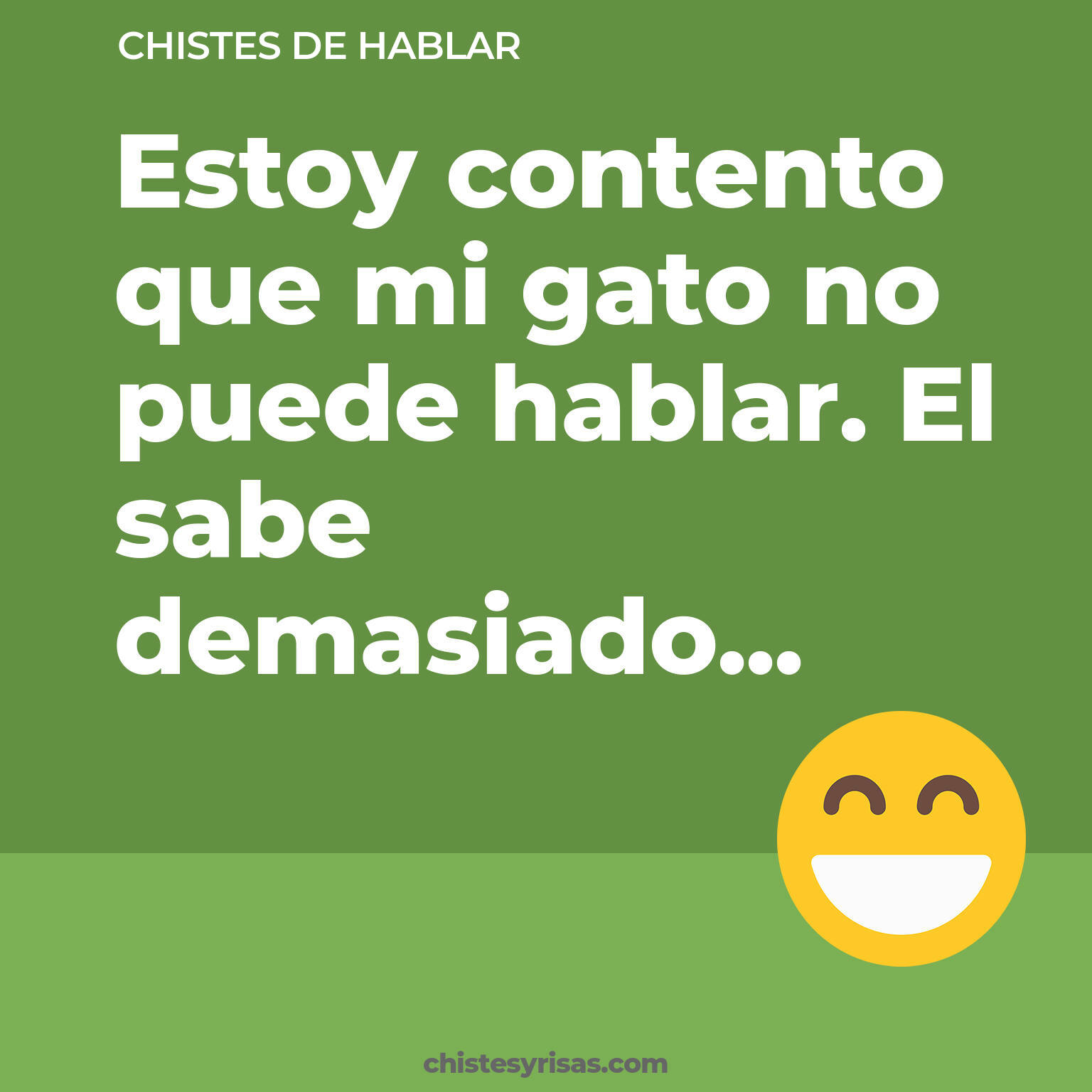 chistes de Hablar cortos