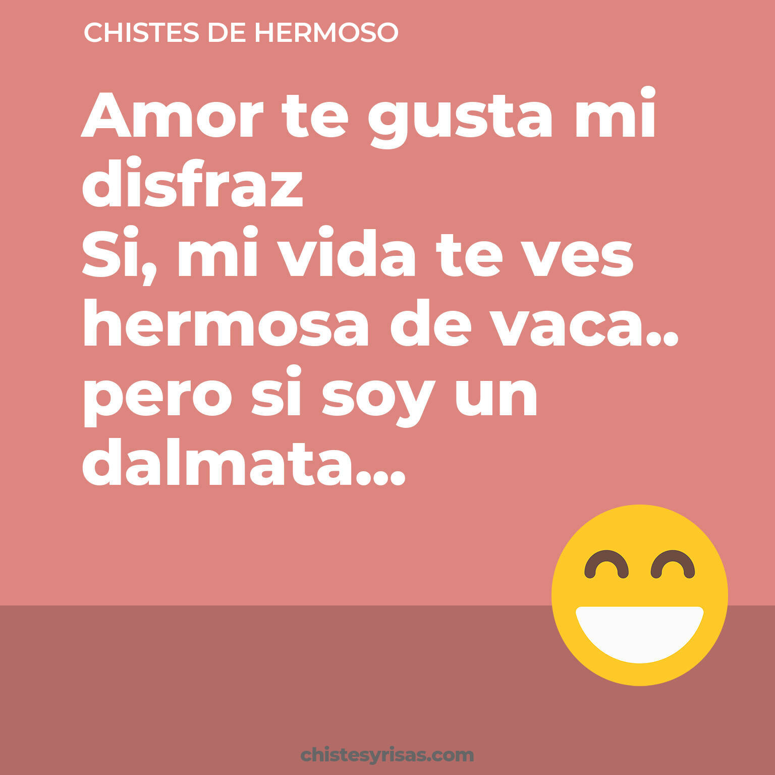 chistes de Hermoso cortos