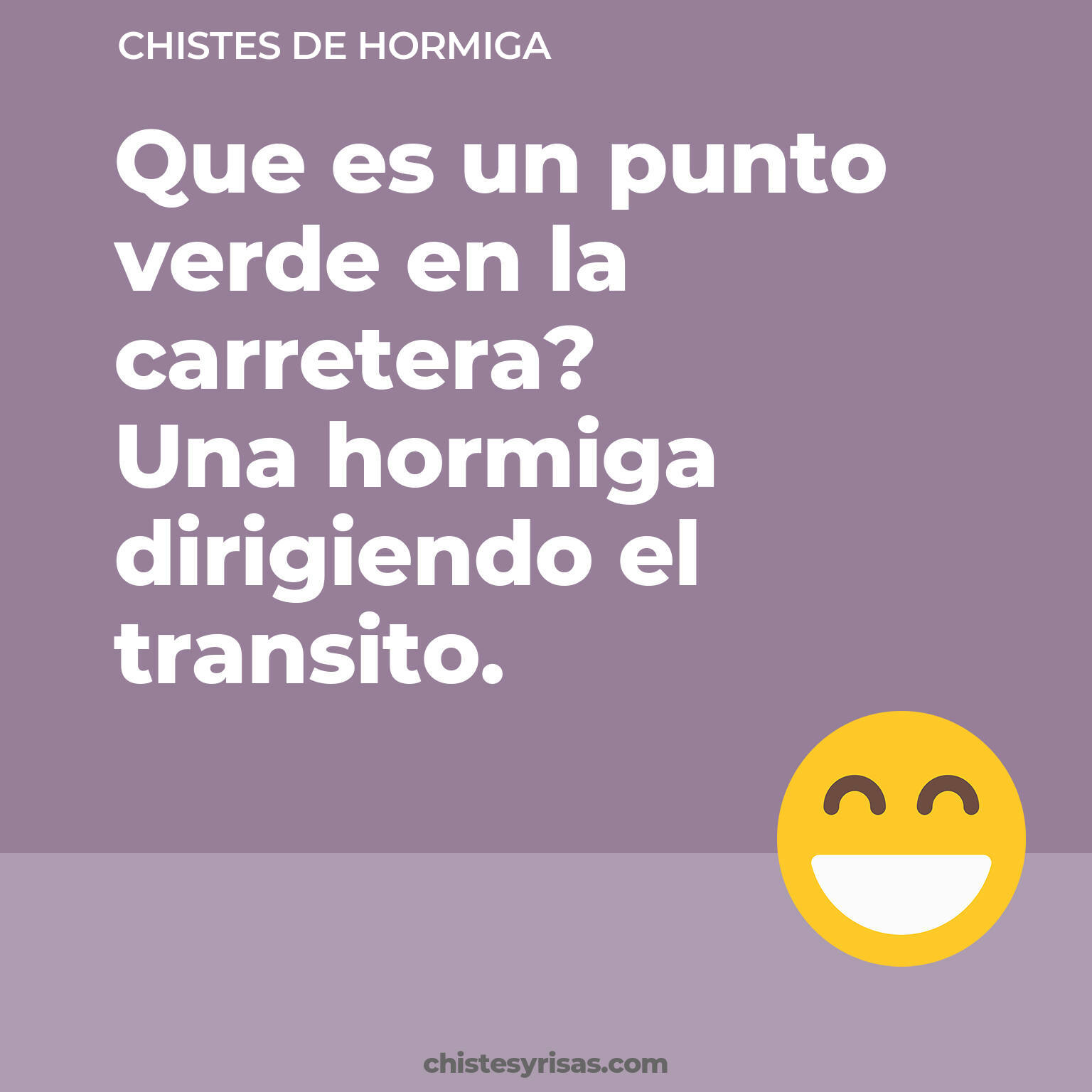 chistes de Hormiga buenos