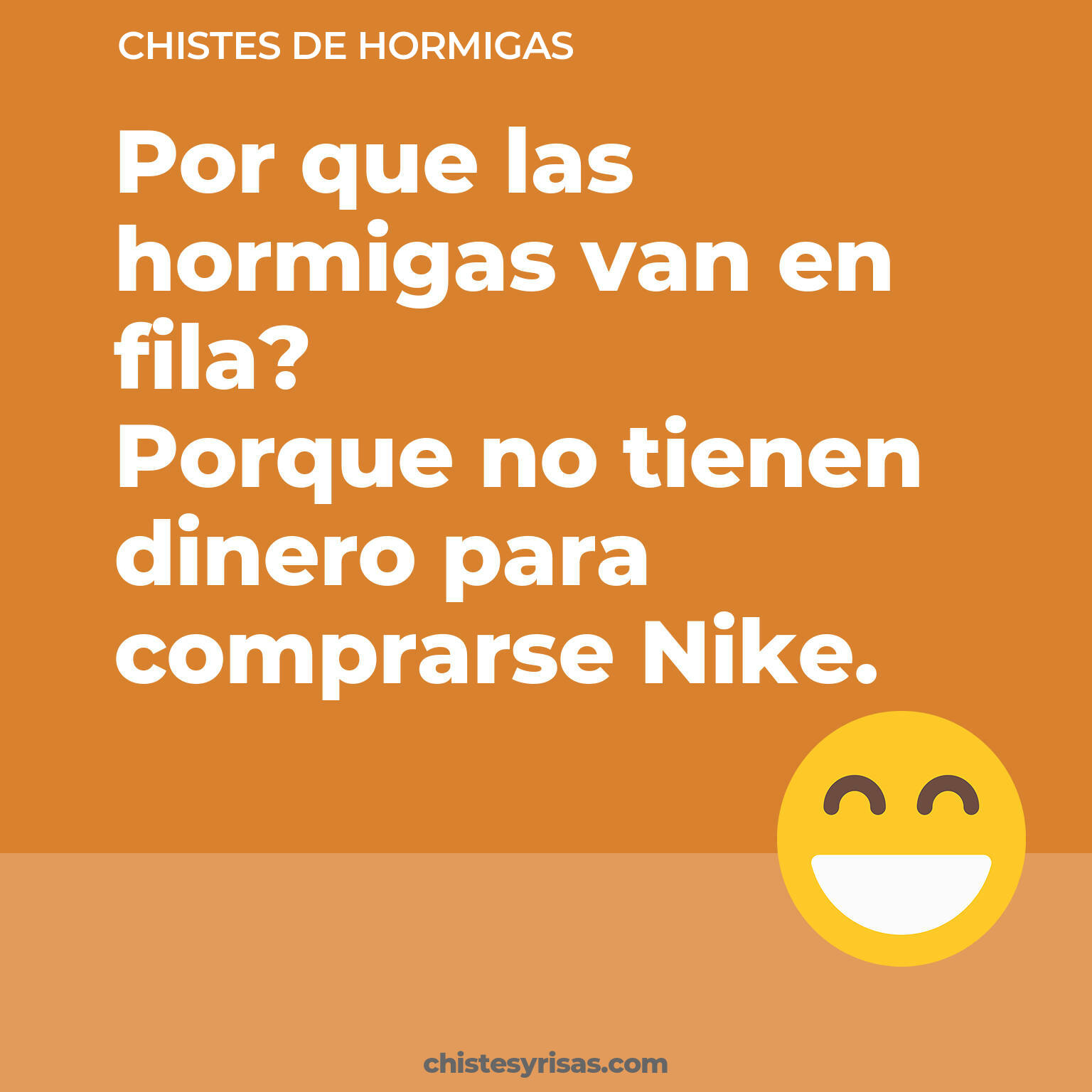 chistes de Hormigas cortos