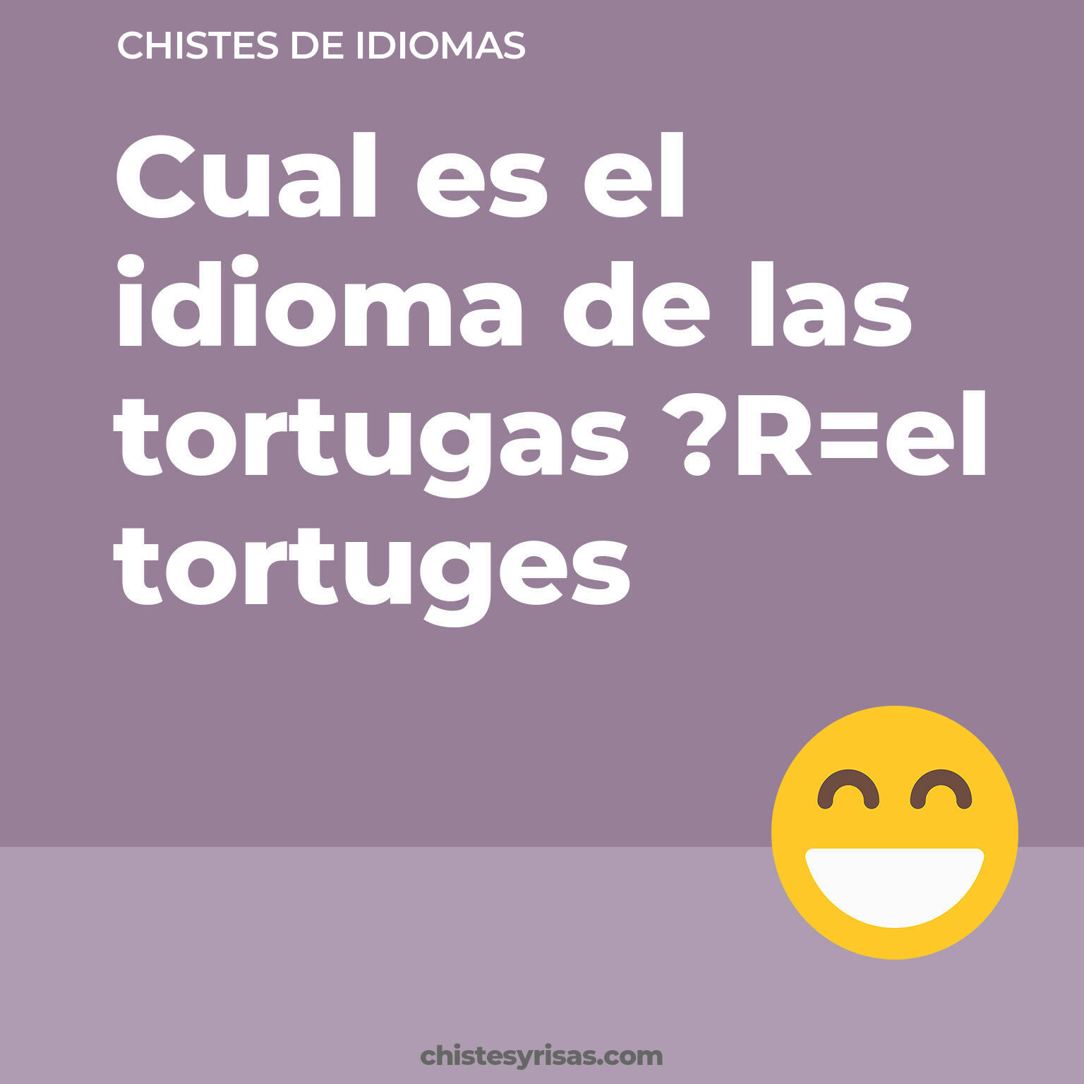 chistes de Idiomas más graciosos