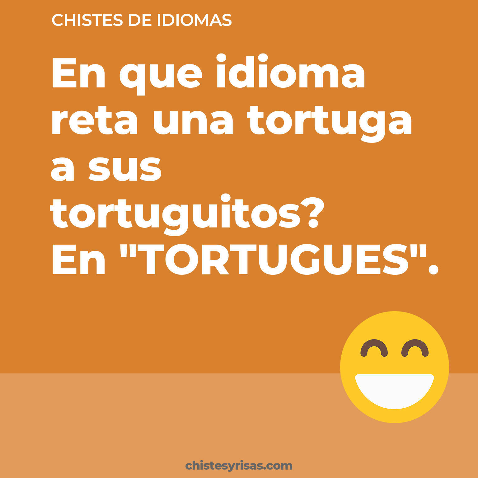 chistes de Idiomas buenos