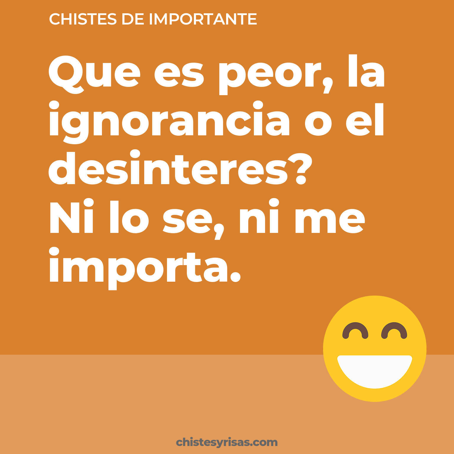 chistes de Importante cortos