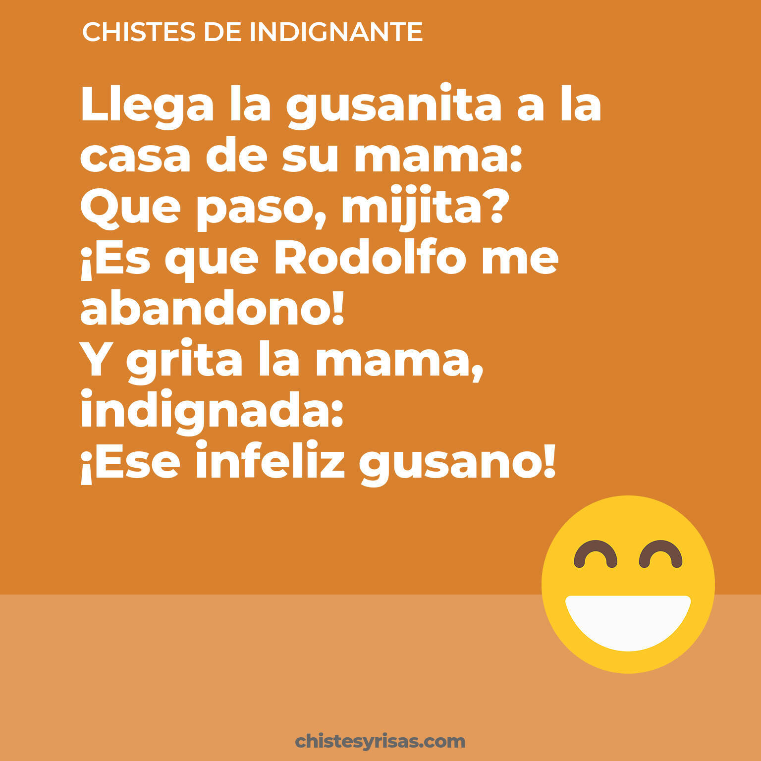 chistes de Indignante cortos