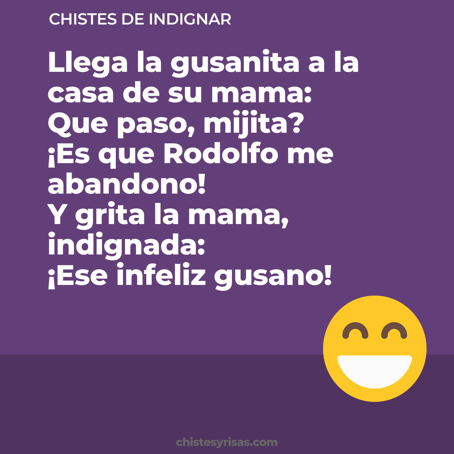 chistes de Indignar cortos