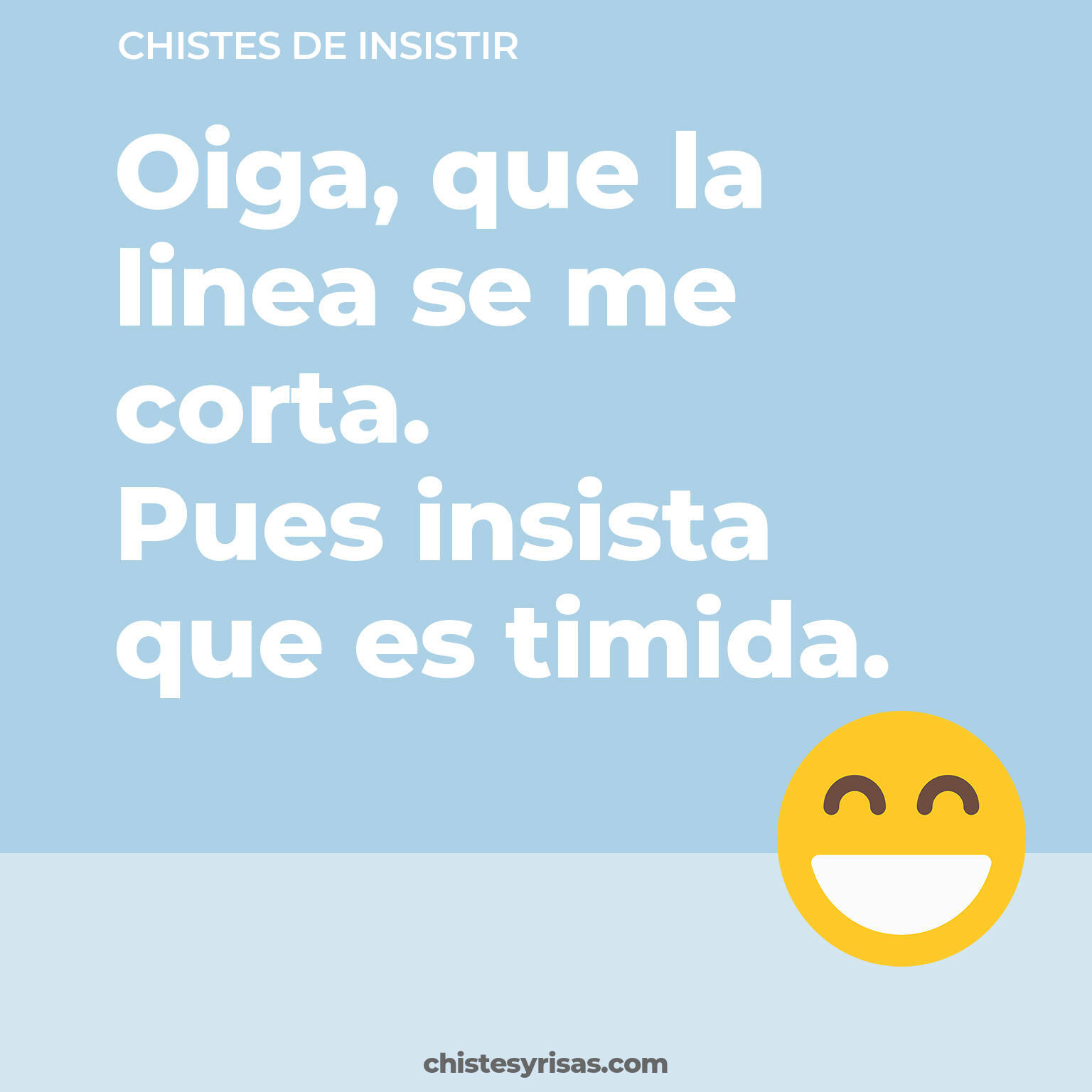 chistes de Insistir cortos