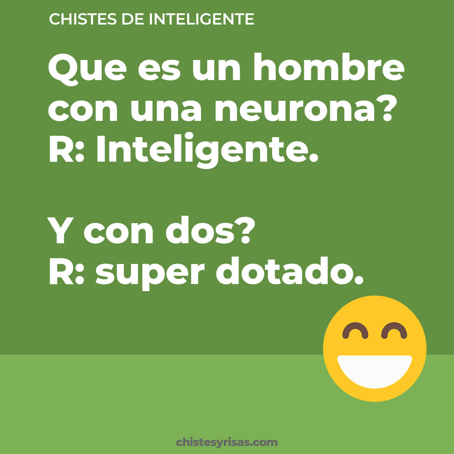 chistes de Inteligente buenos foto para reir
