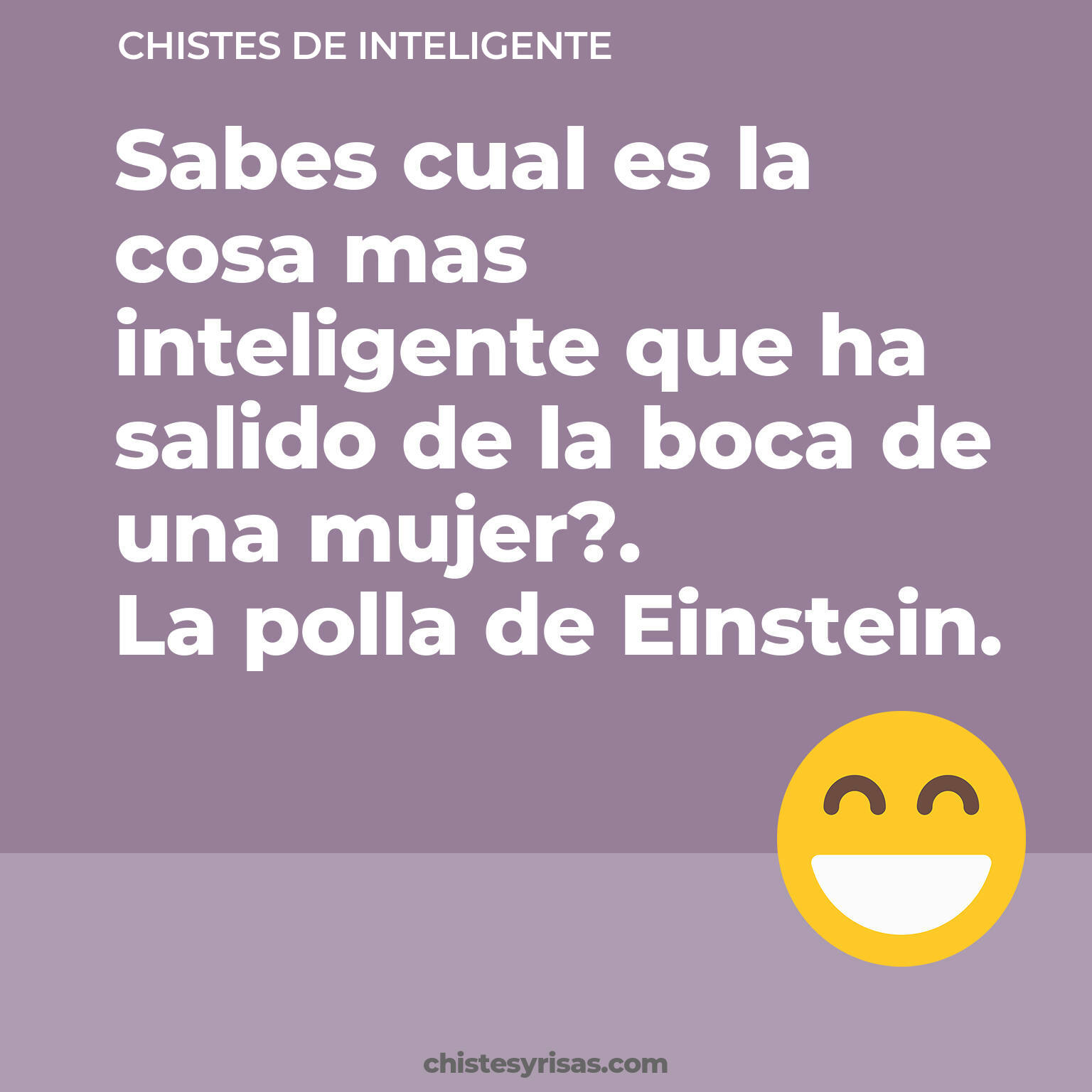 chistes de Inteligente más graciosos