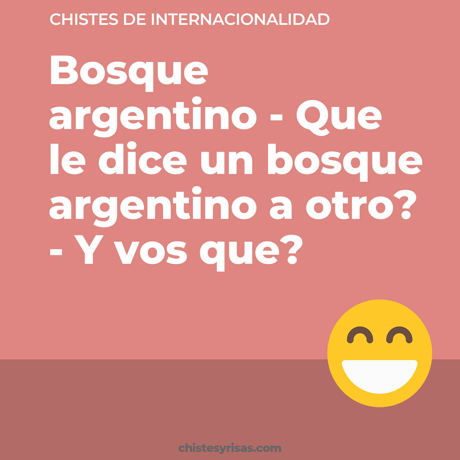 chistes de Internacionalidad cortos