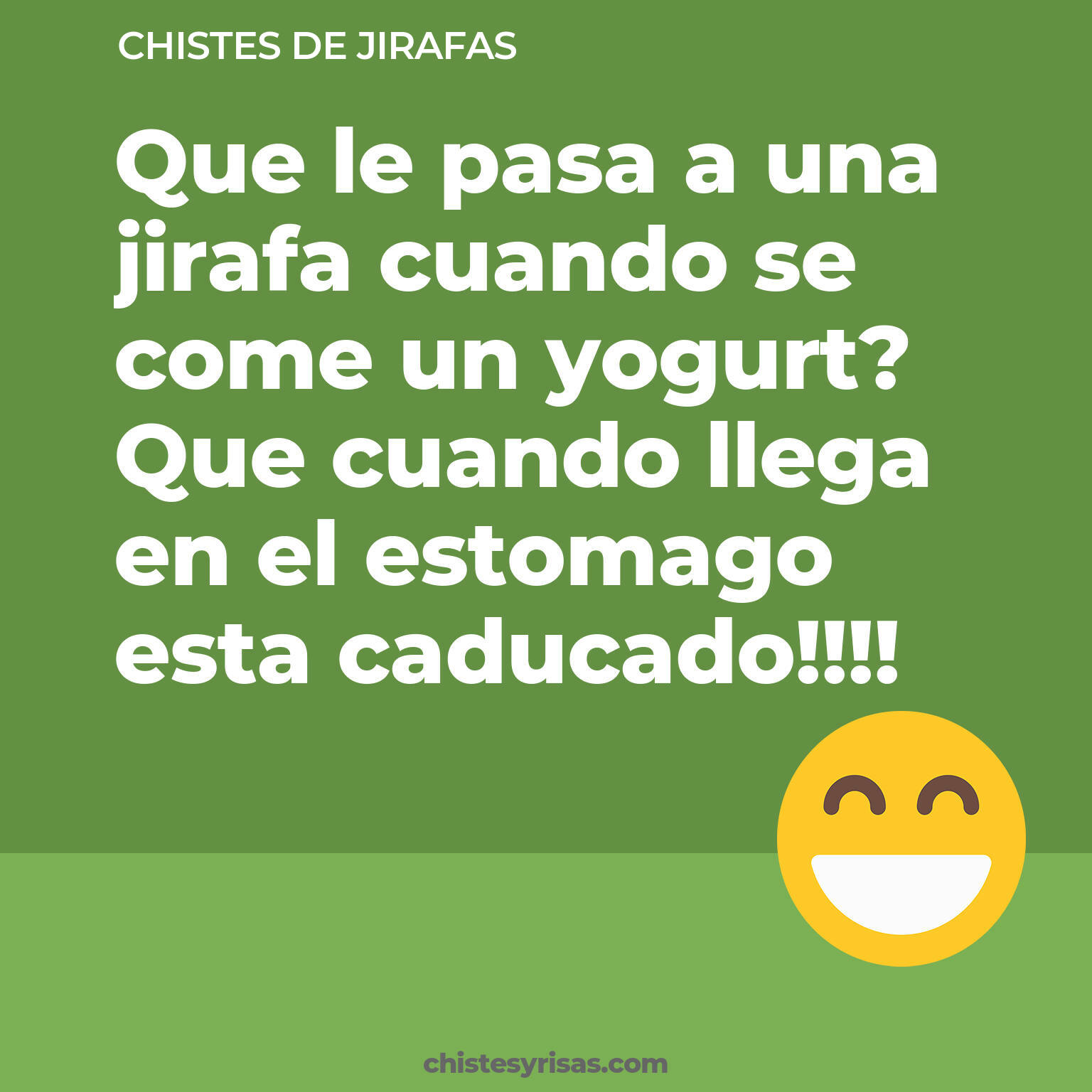 chistes de Jirafas más graciosos