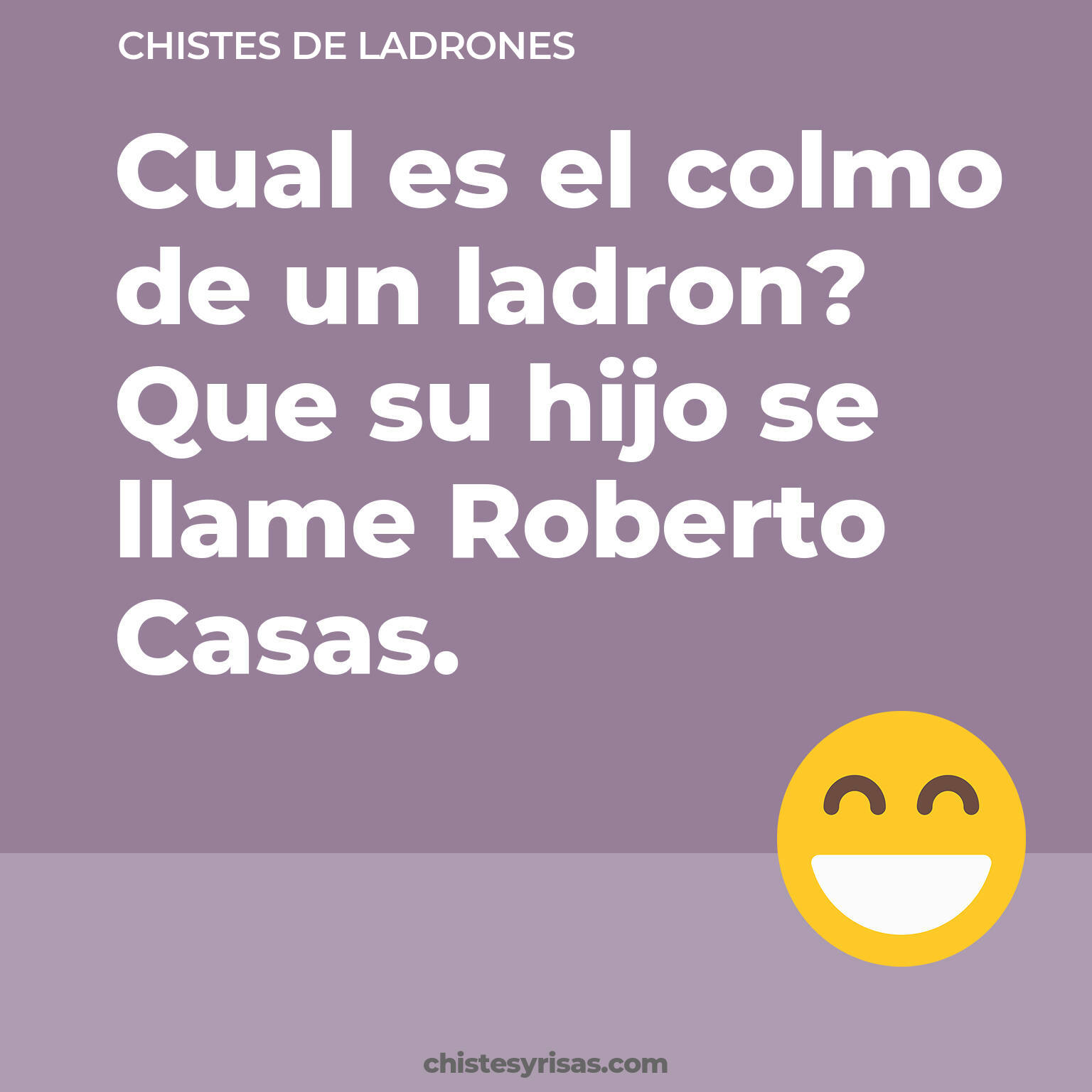 chistes de Ladrones más graciosos