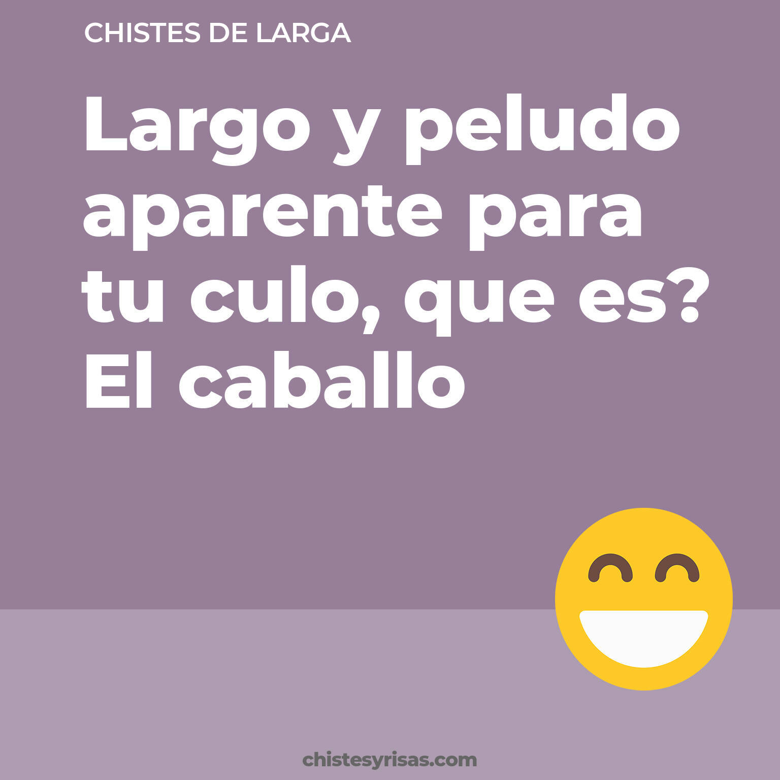 chistes de Larga más graciosos