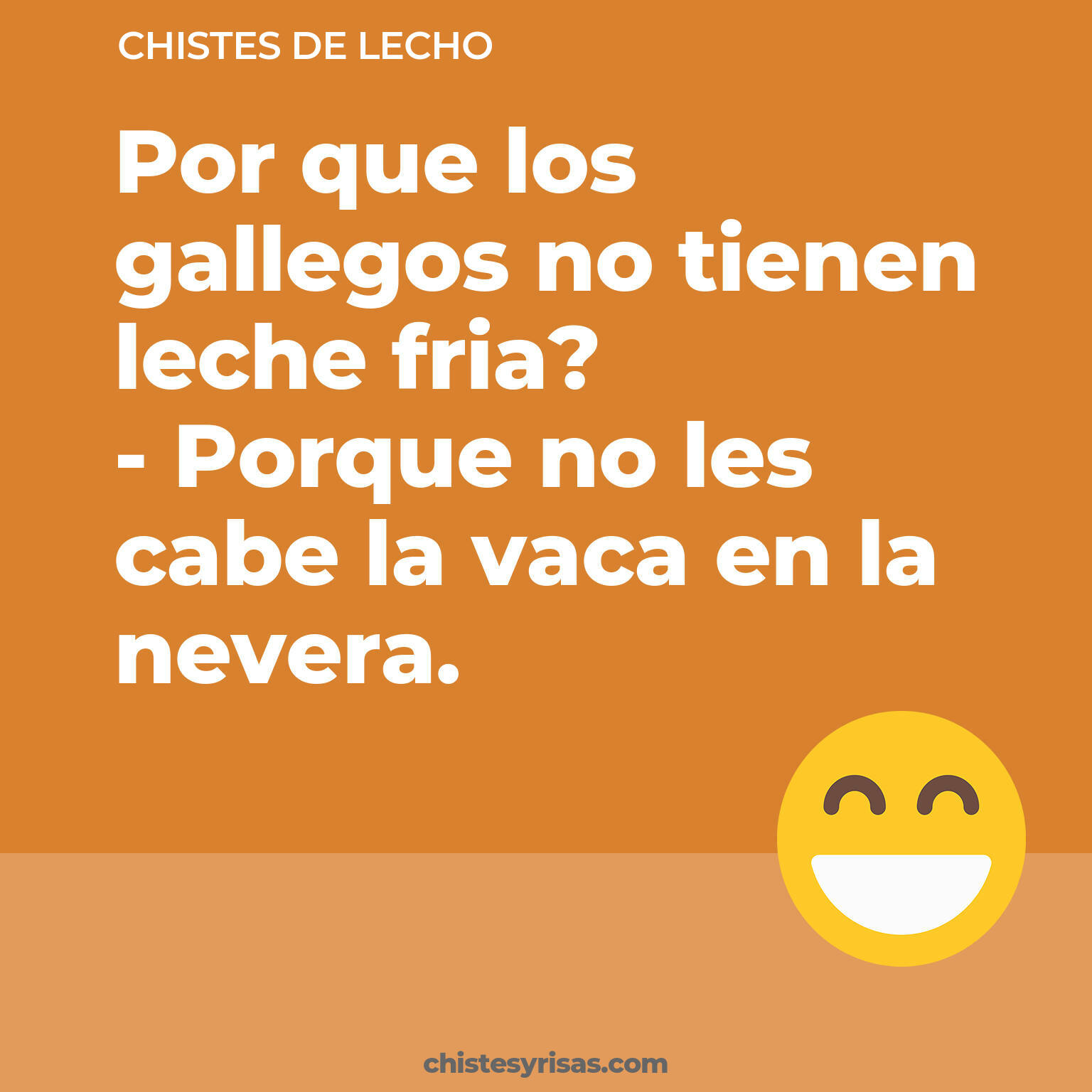 chistes de Lecho más graciosos