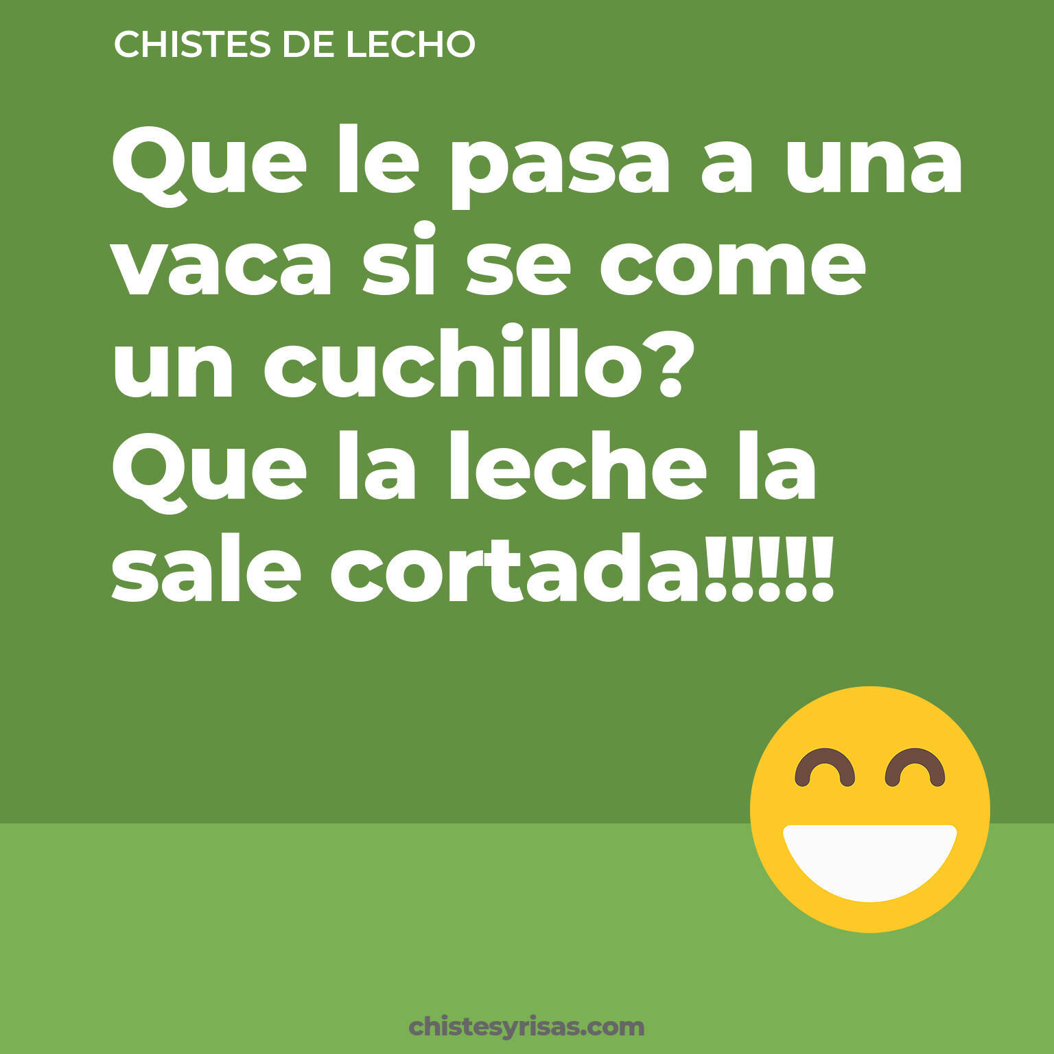 chistes de Lecho cortos