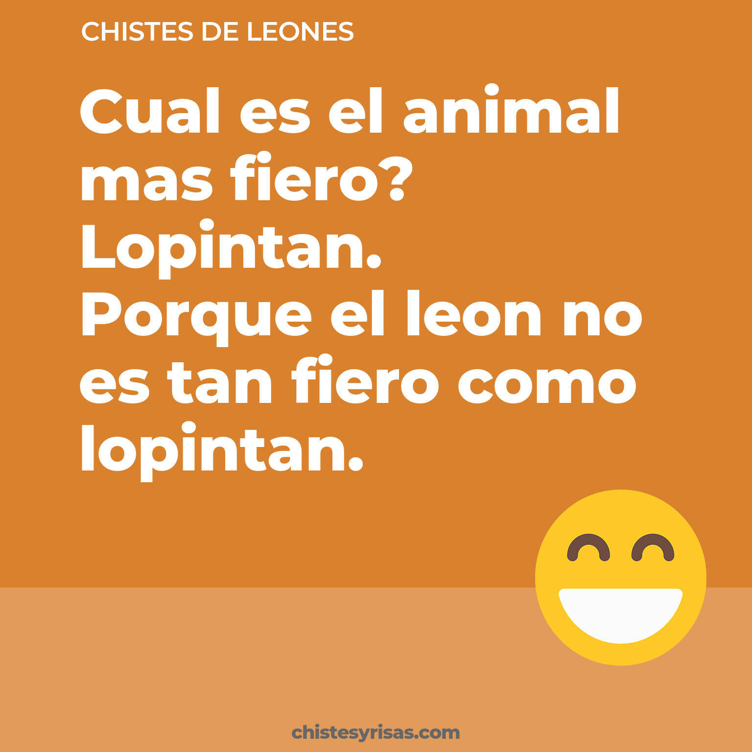 chistes de Leones buenos